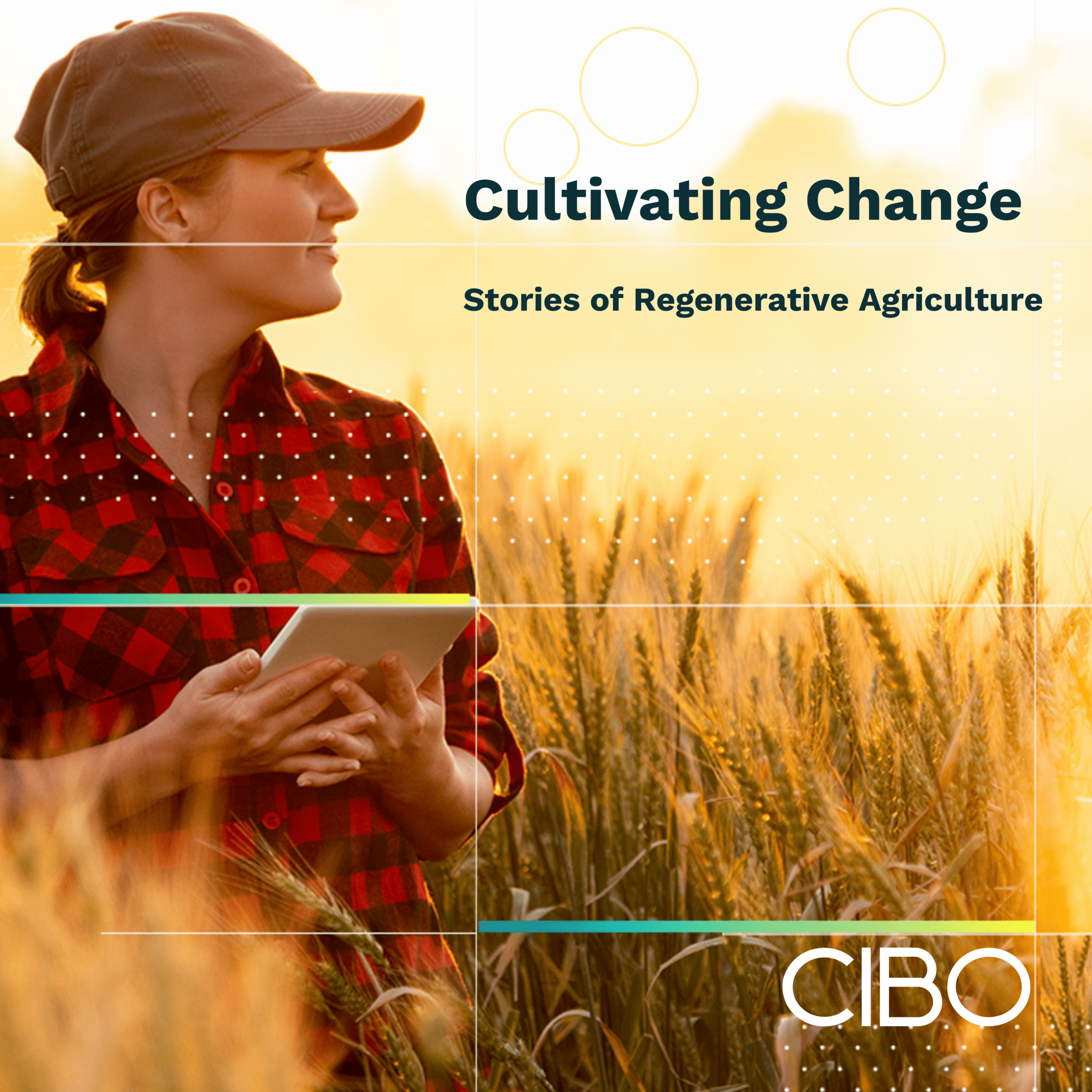 S1E3 Cultivating Change: Breaking Down The Farmgate – All about ROI with Truterra, Anew Climate, and Rabobank