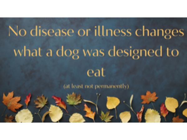 ⁣Those who argue a dog is an omnivore are trying to sell you something PERIOD