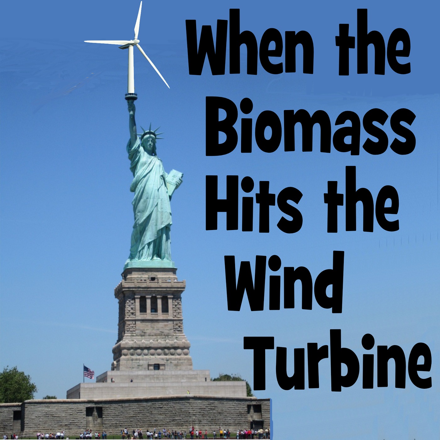 When the BioMass Hits the Wind Turbine 