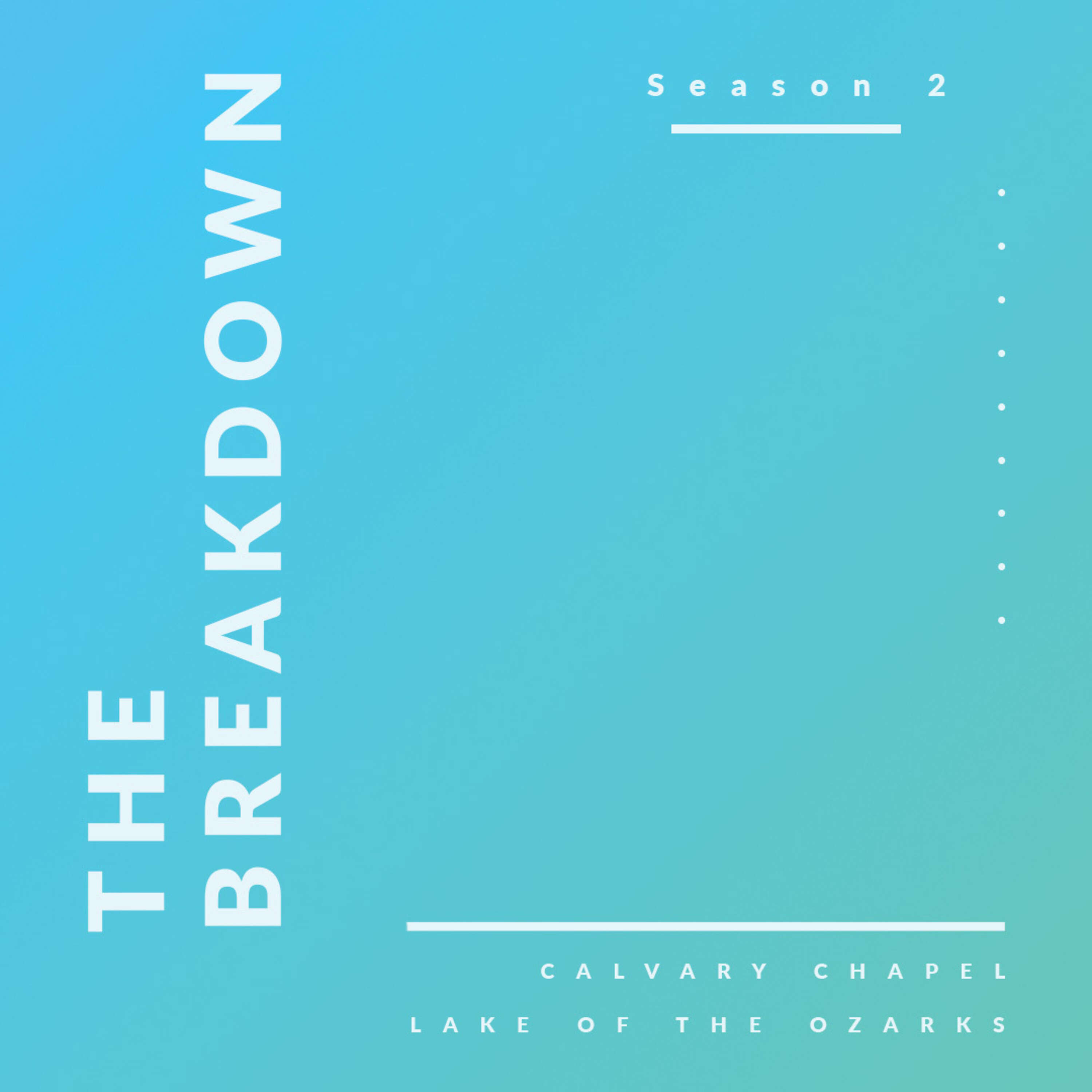 The Breakdown 