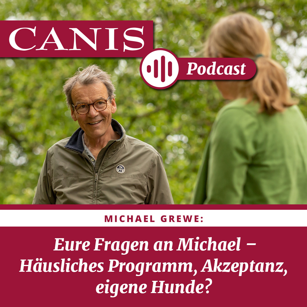 Eure Fragen an Michael – Häusliches Programm, Akzeptanz, eigene Hunde?