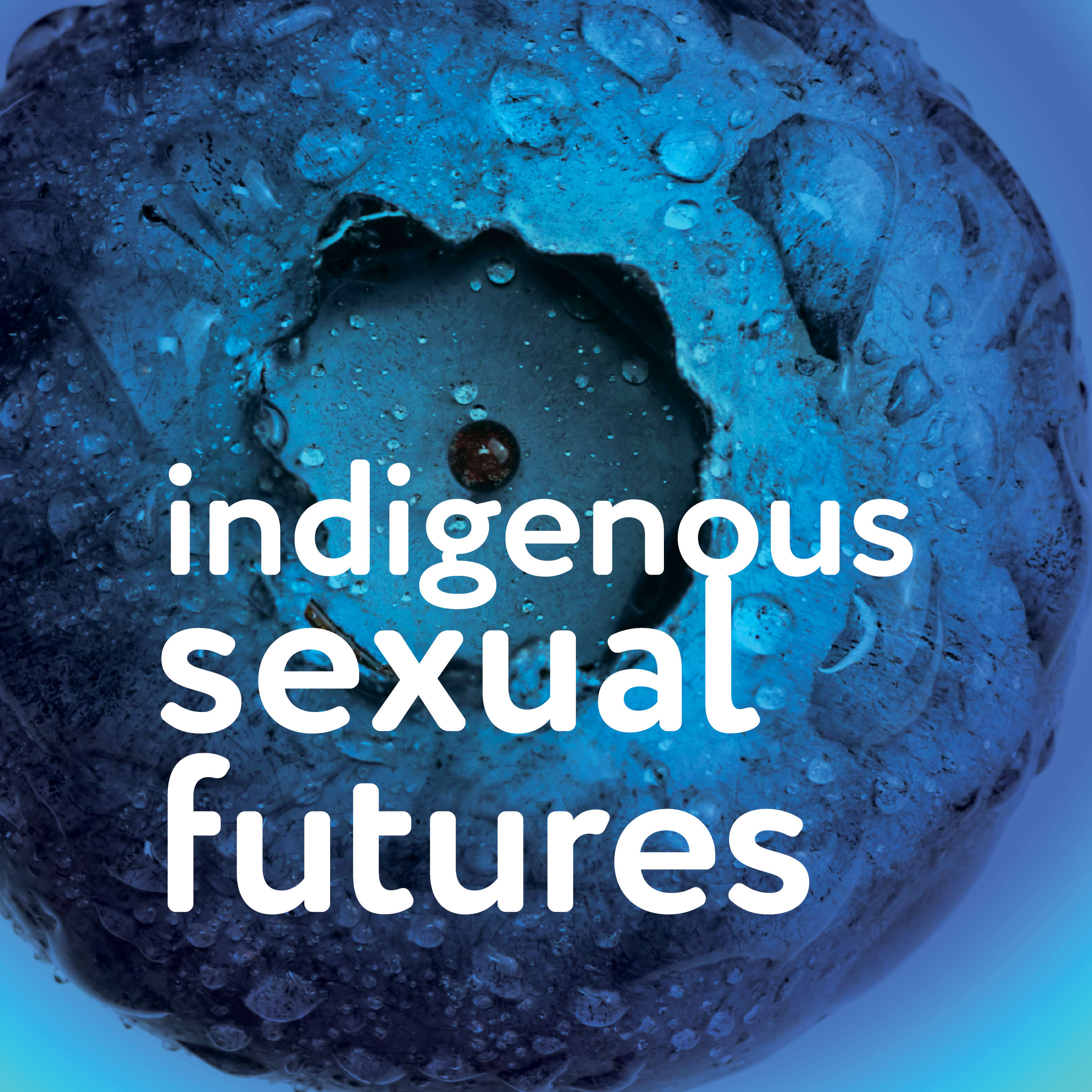 Indigenous Sexual Futures 