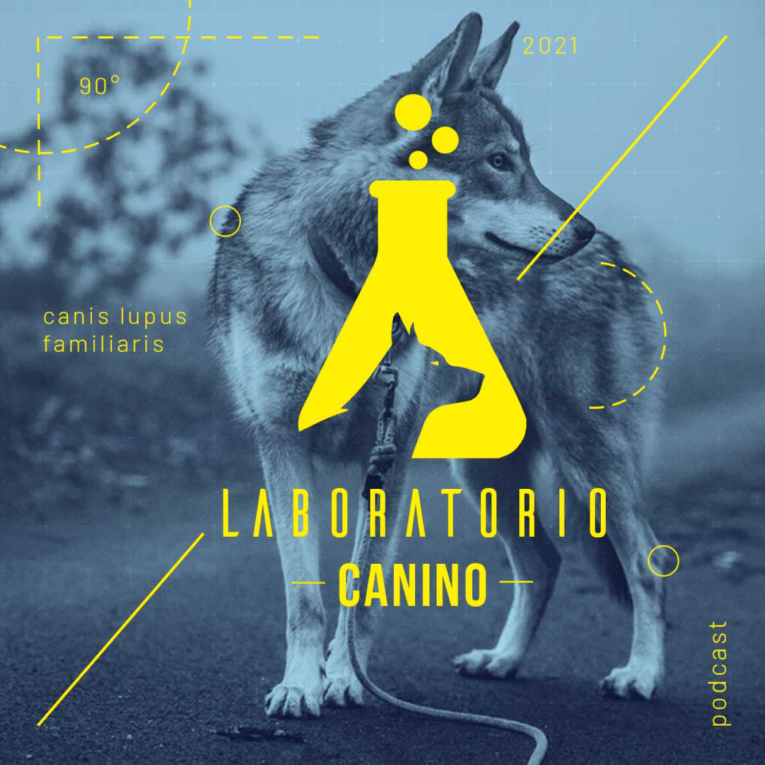 Laboratorio Canino 