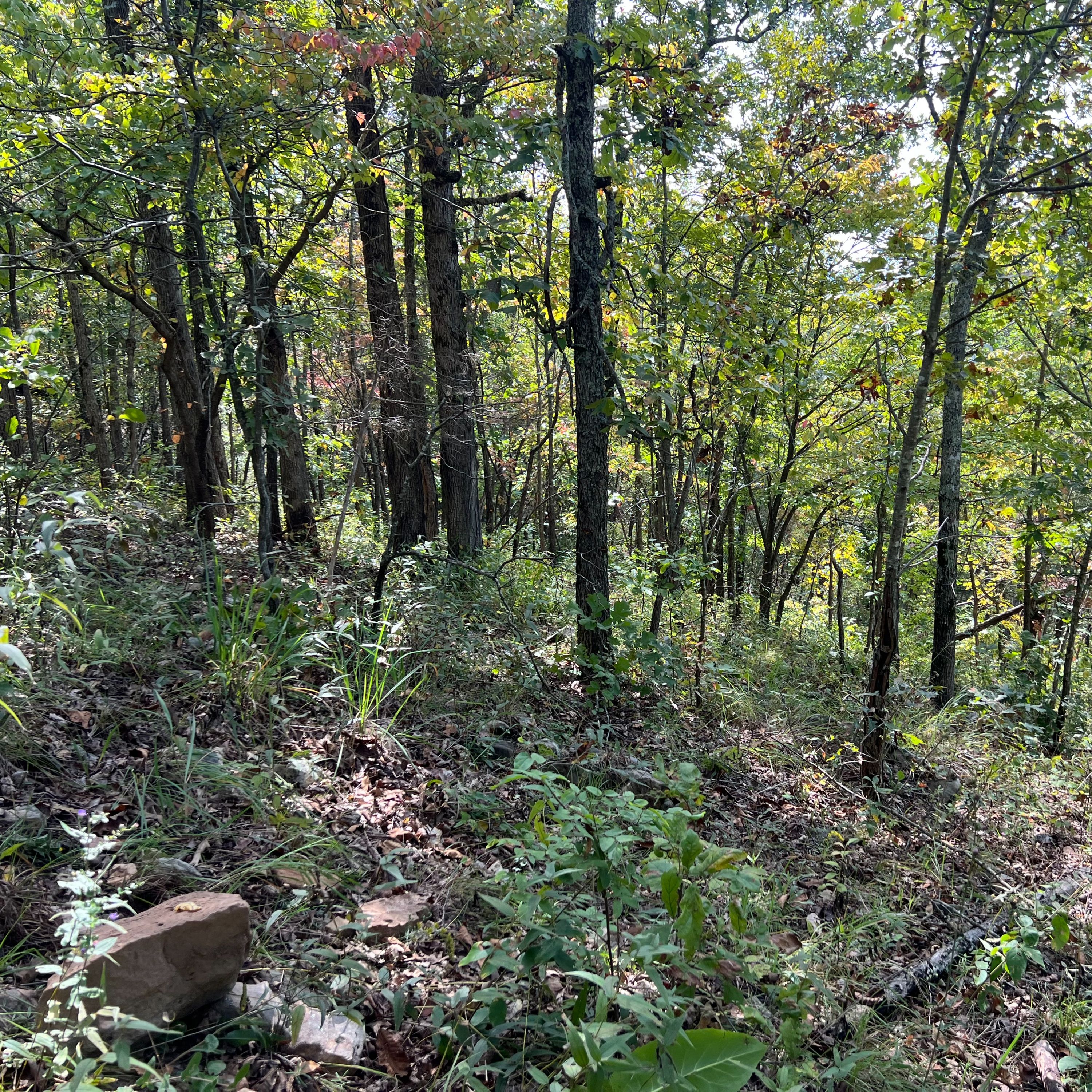 ⁣Habitat Management in September