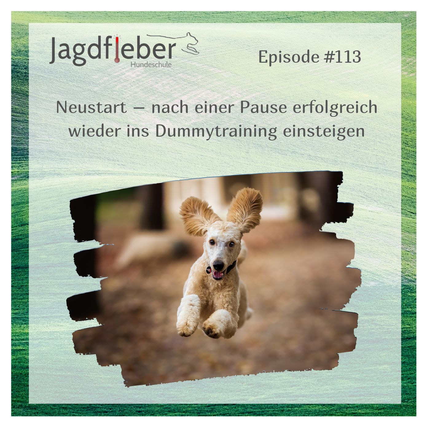 P113: Neustart – nach einer Pause erfolgreich wieder ins Dummytraining einsteigen