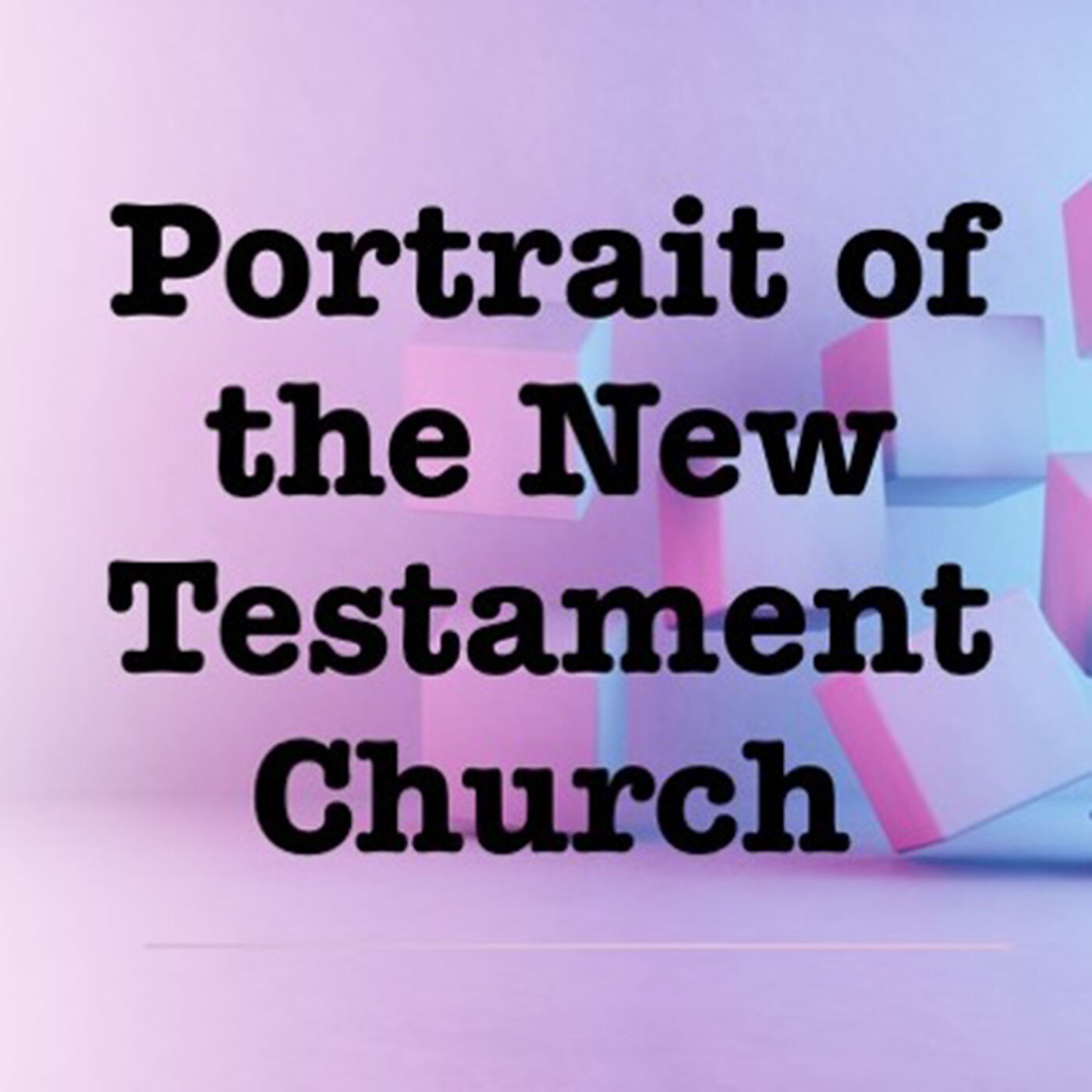 ⁣Portrait of the New Testament Church