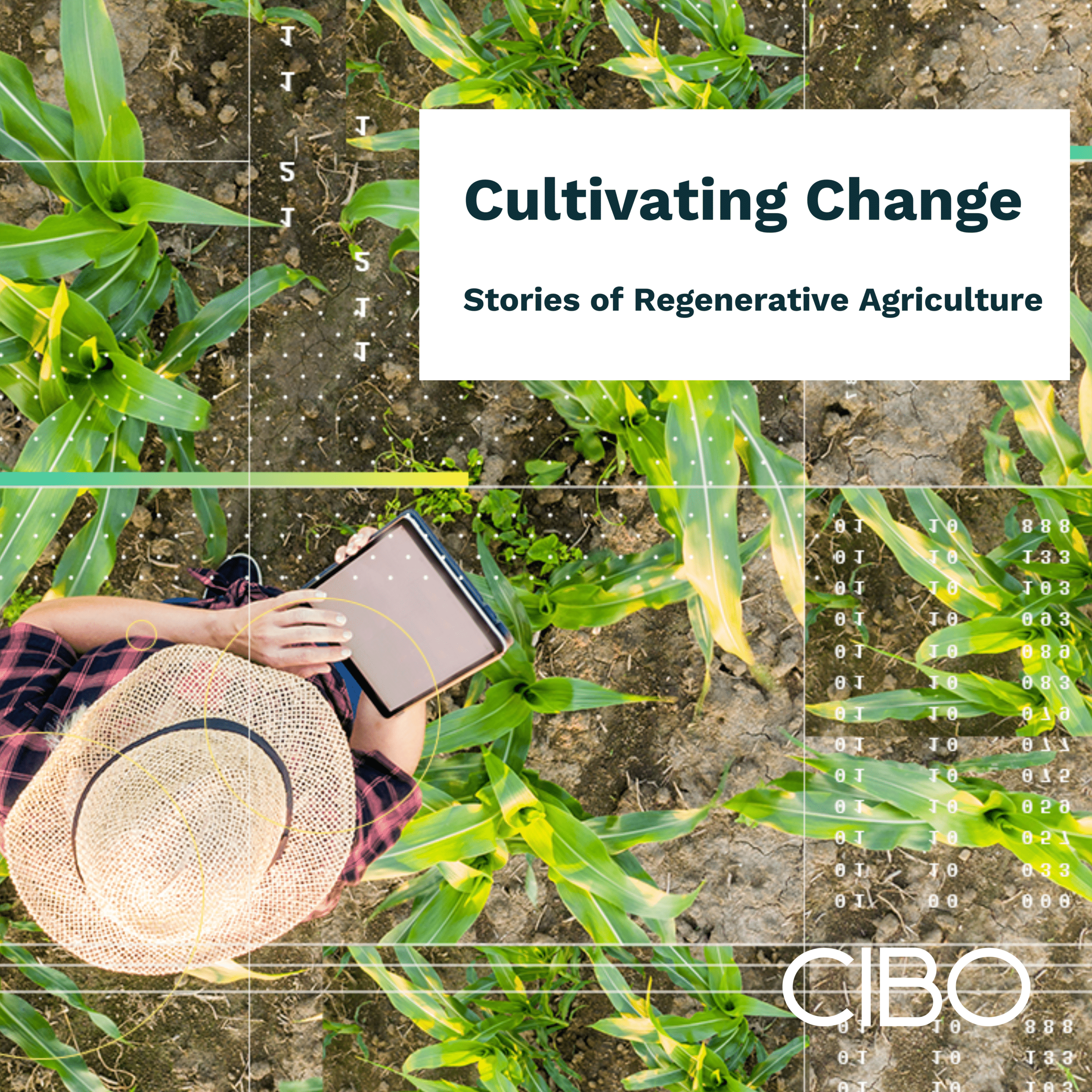 S1E2 Cultivating Change: Breaking Down The Farmgate – All about additionality with Truterra, Anew Climate, and Rabobank