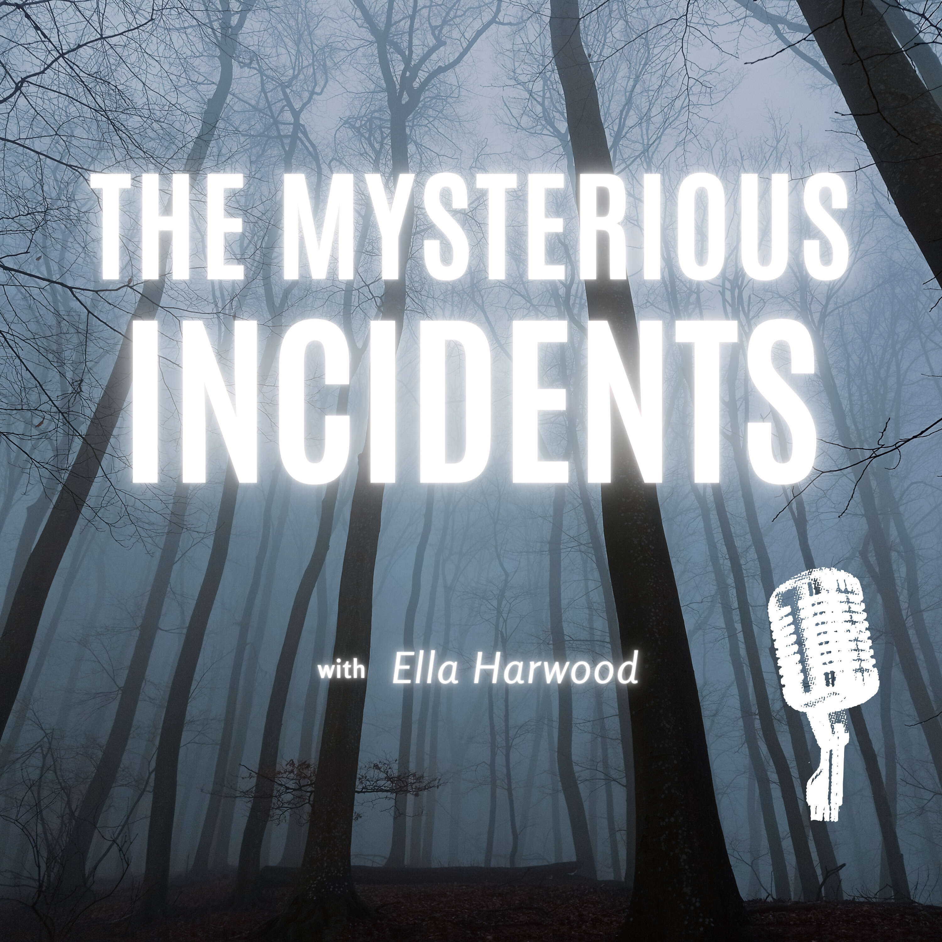 The Mysterious Incidents Podcast 