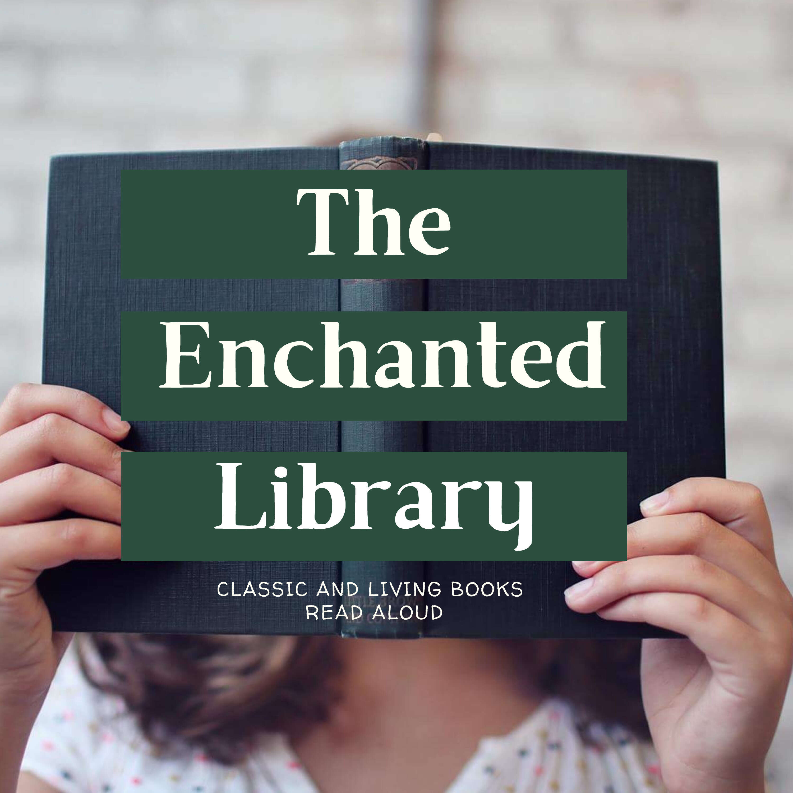 The Enchanted Library 