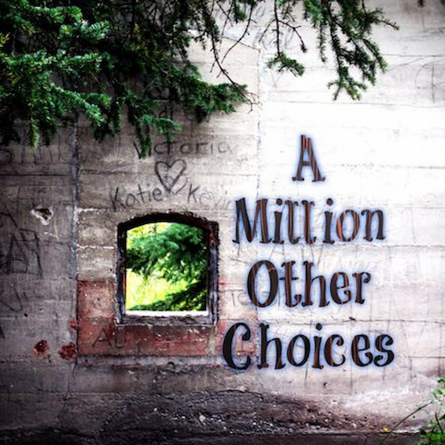 A Million Other Choices 