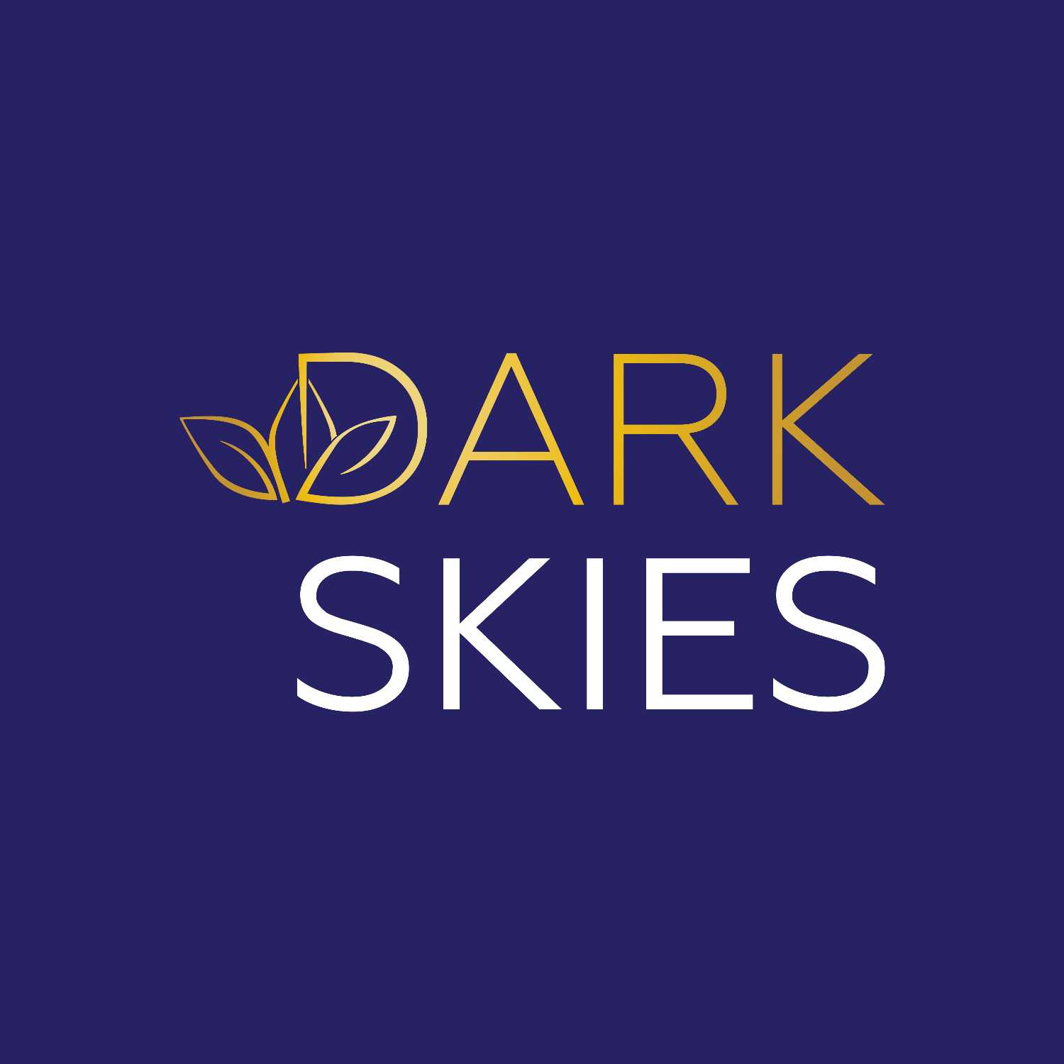 ⁣Dark Skies September 24