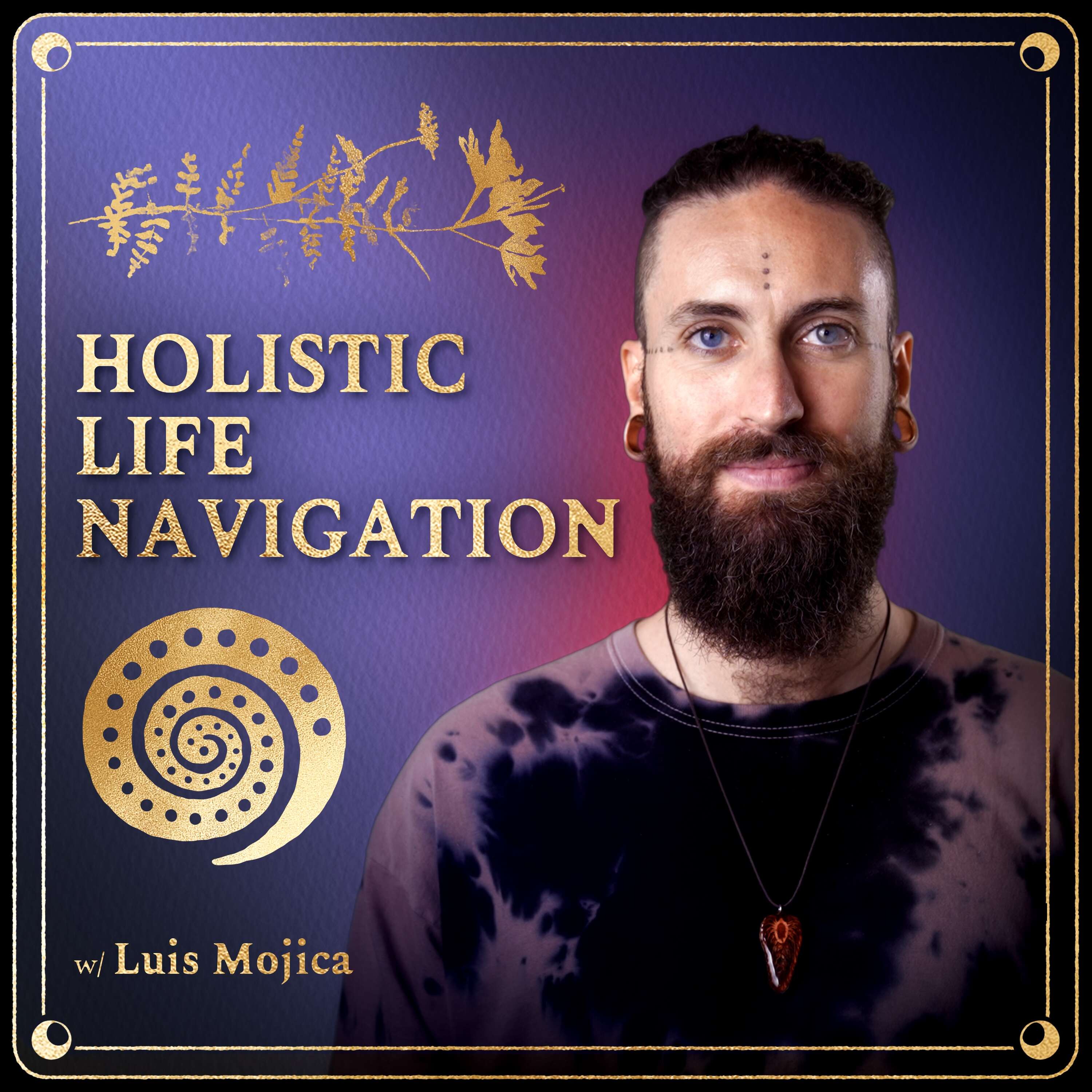 Holistic Life Navigation 