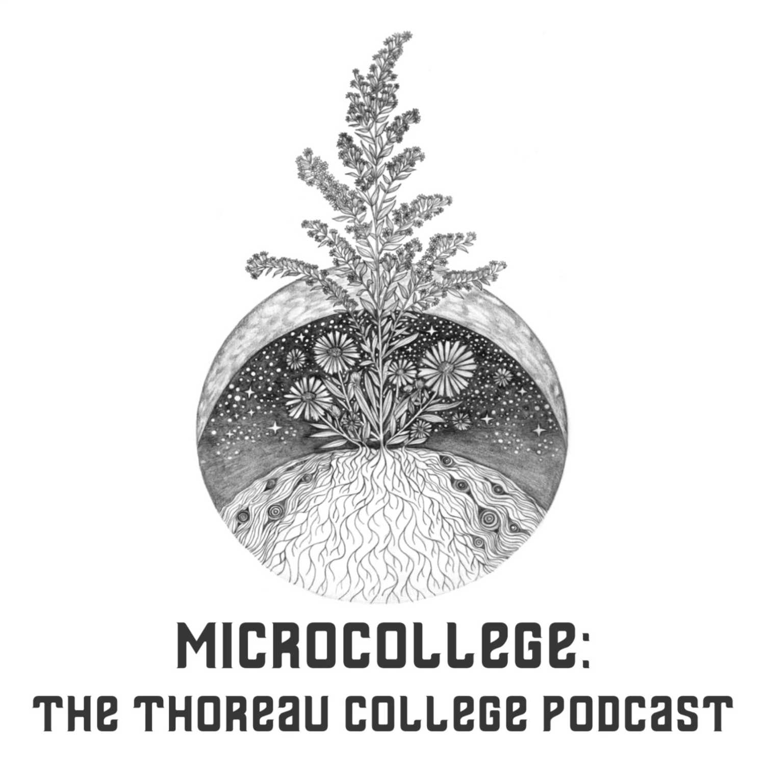 MICROCOLLEGE:  The Thoreau College Podcast 