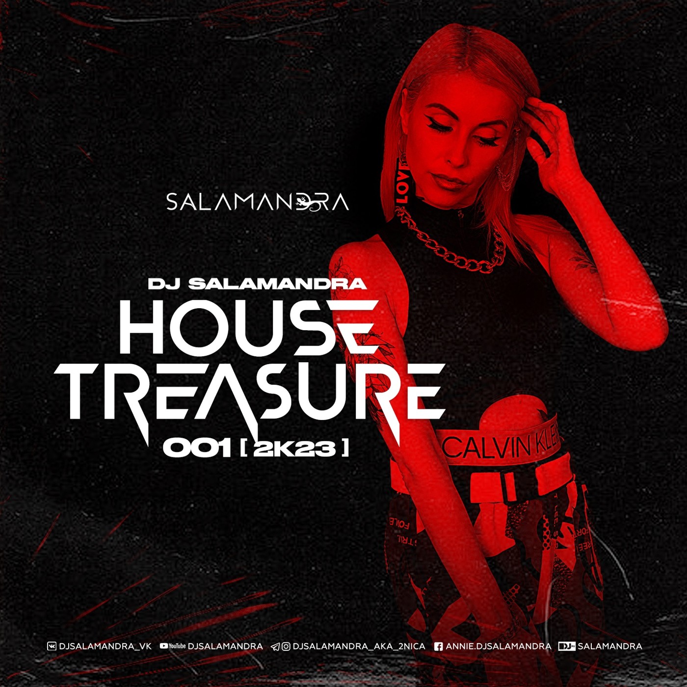 ⁣Dj Salamandra - House Treasure 001 (2k23) #1