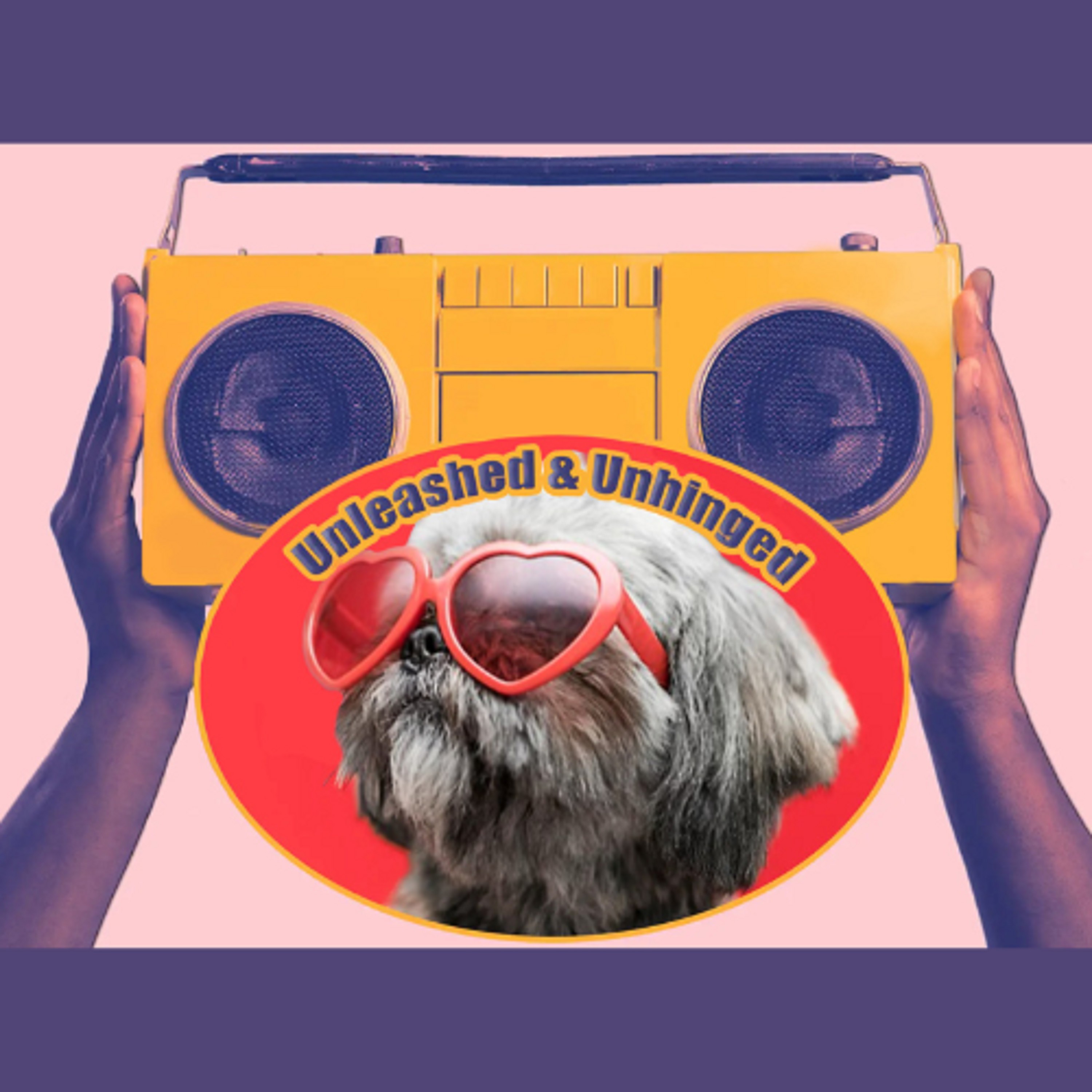 Episode 9: Carly Clarke of Super Woofers - Puppyhood