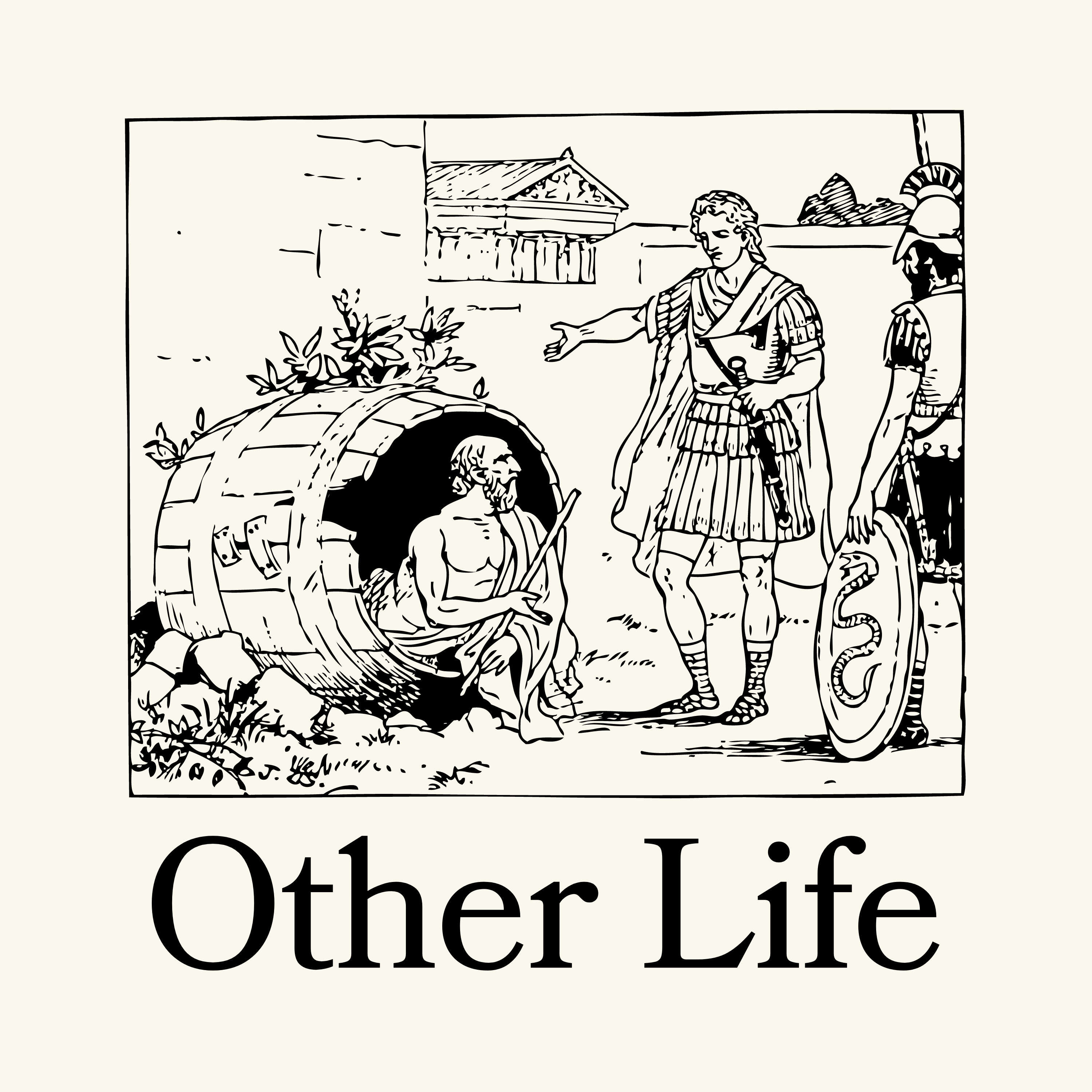 Other Life 