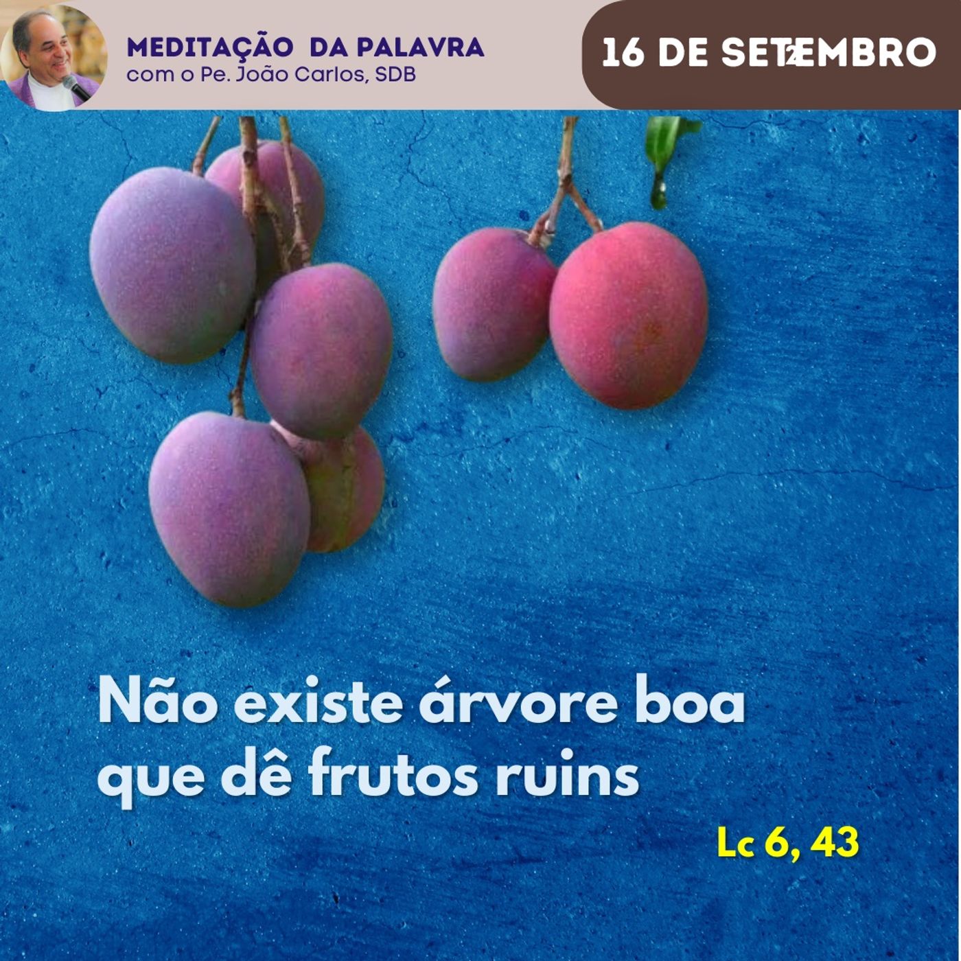 ⁣16 de setembro - Meditação da Palavra do Senhor