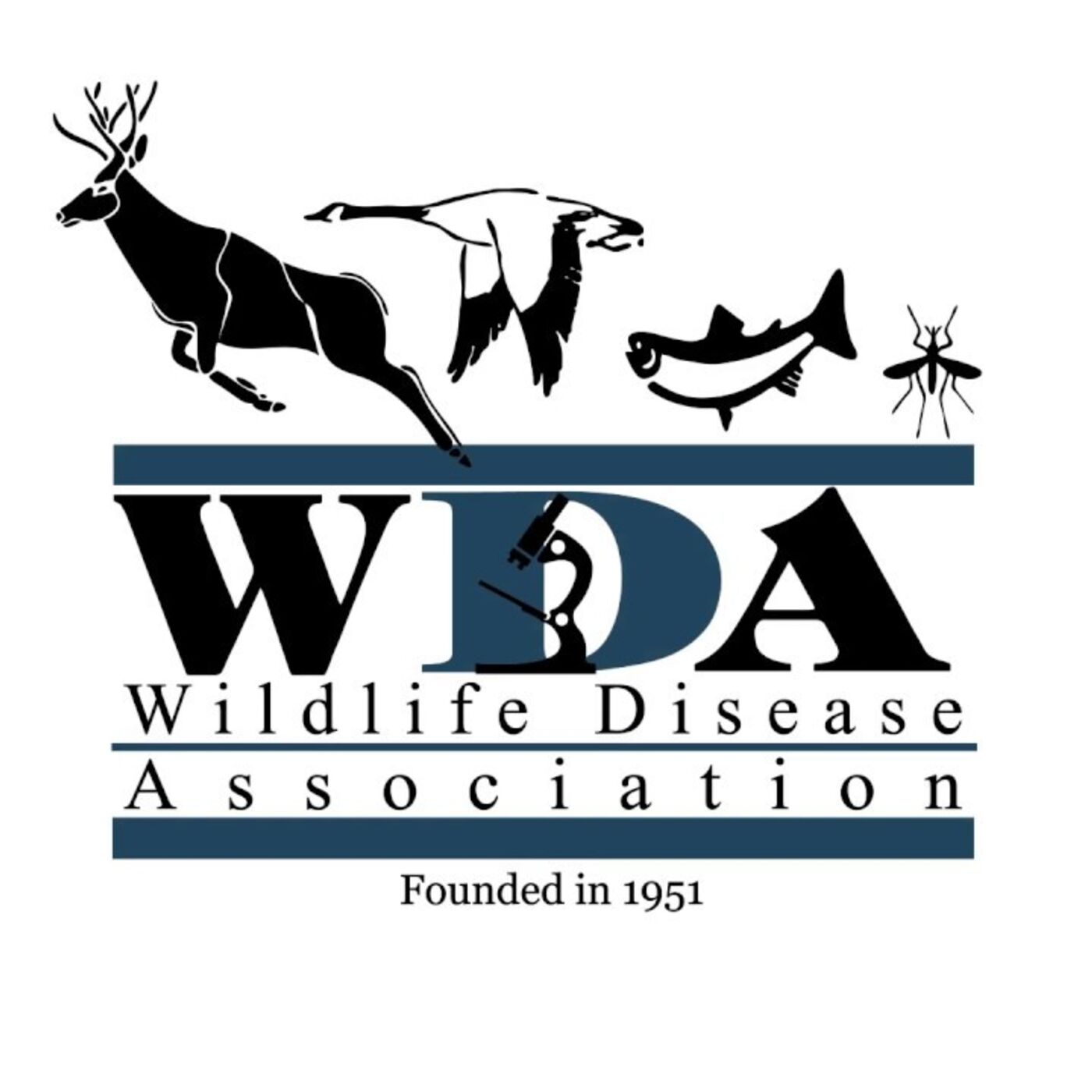 Wildlife Health Talks 