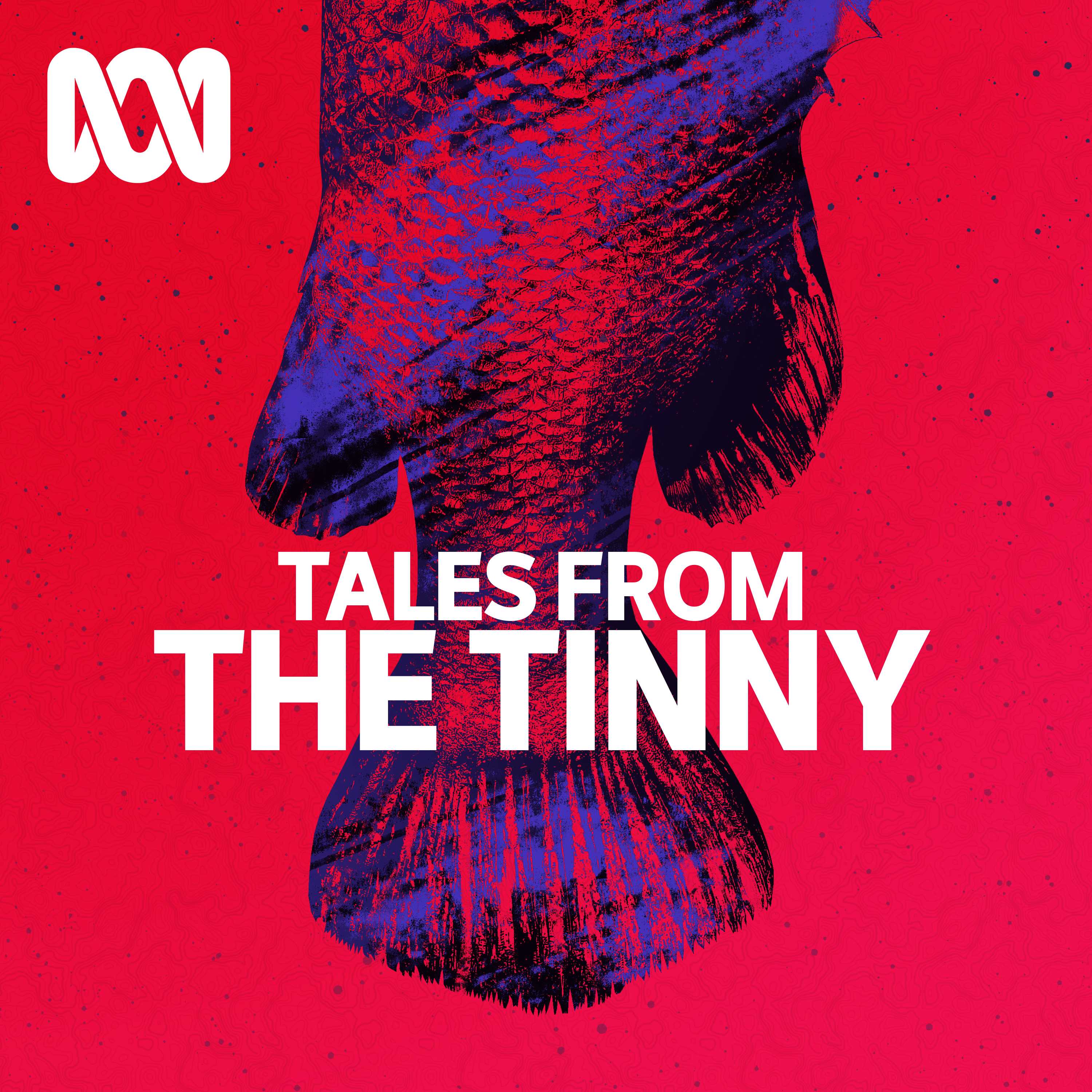 Tales from the Tinny 