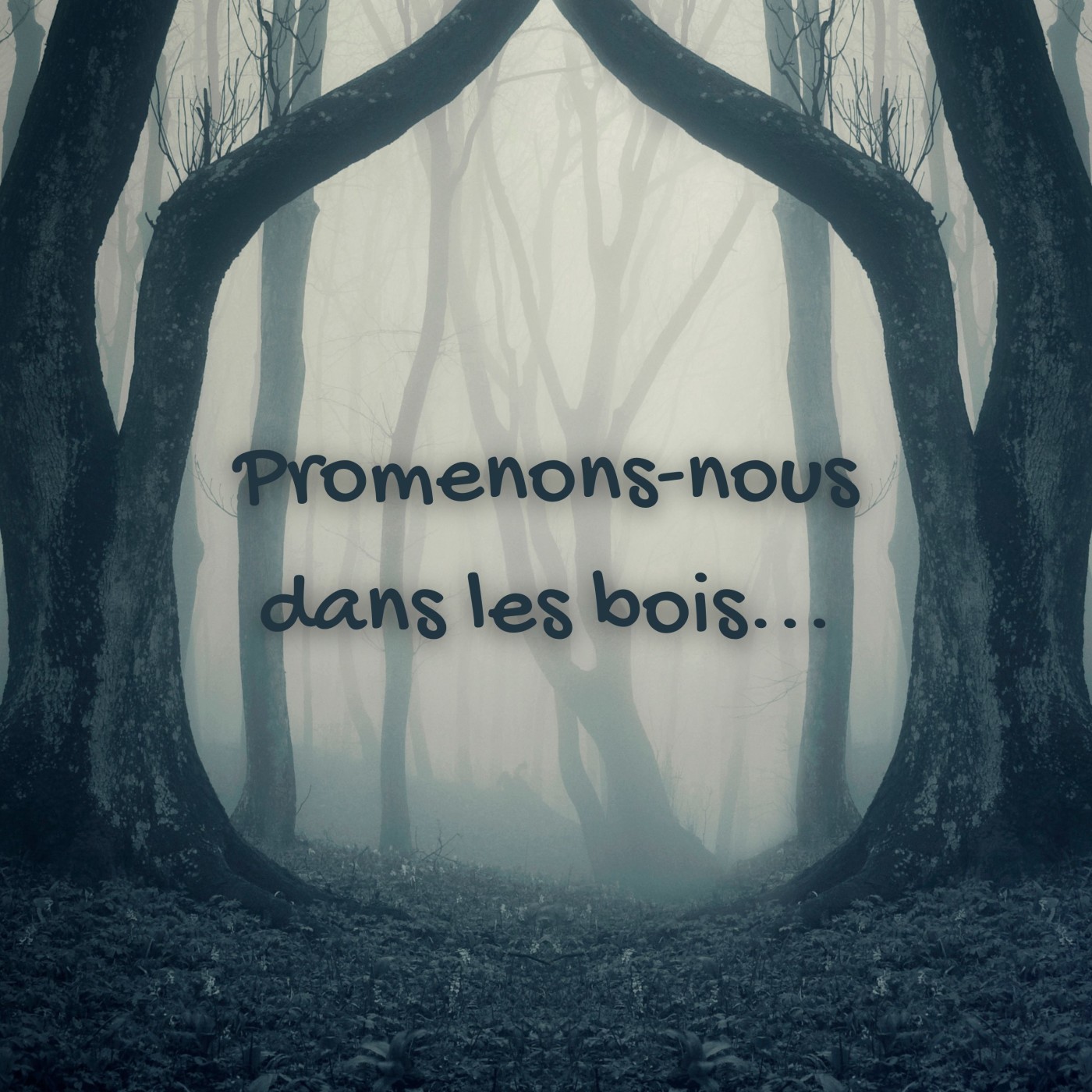 Promenons-nous dans les bois 