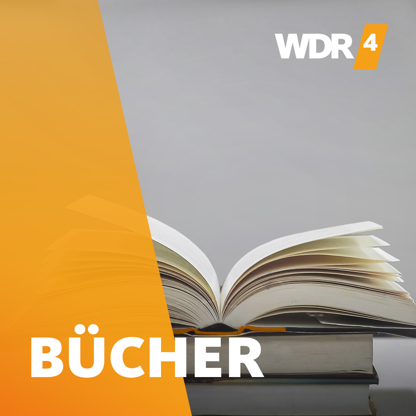 WDR 4 Bücher 