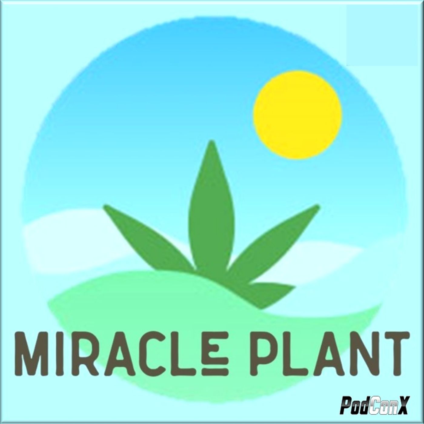 Miracle Plant 