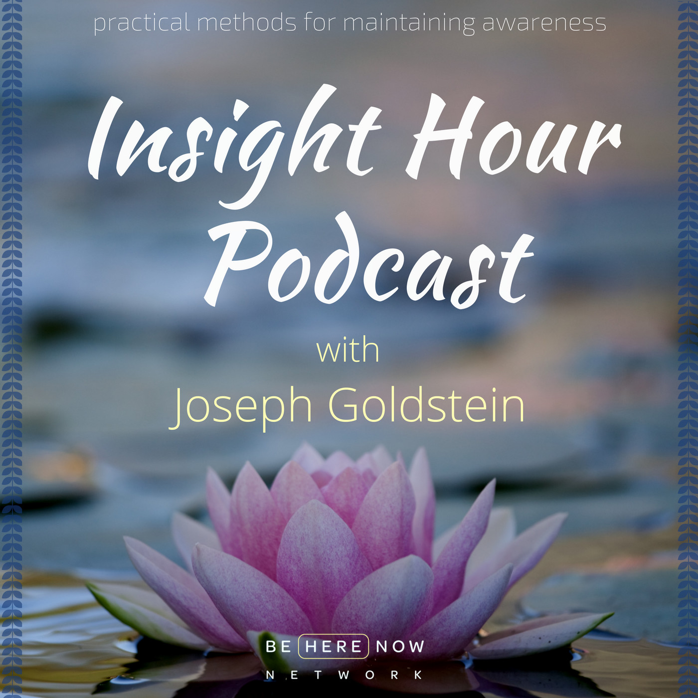 Insight Hour with Joseph Goldstein 