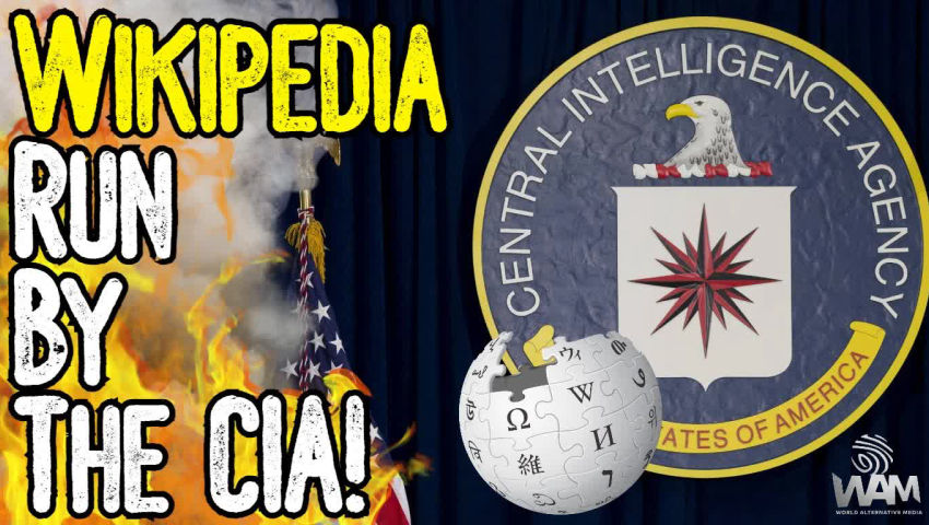 ⁣WIKIPEDIA RUN BY THE CIA! - Co-Founder EXPOSES Company! - MSM FULL Of 3 Letter Agencies