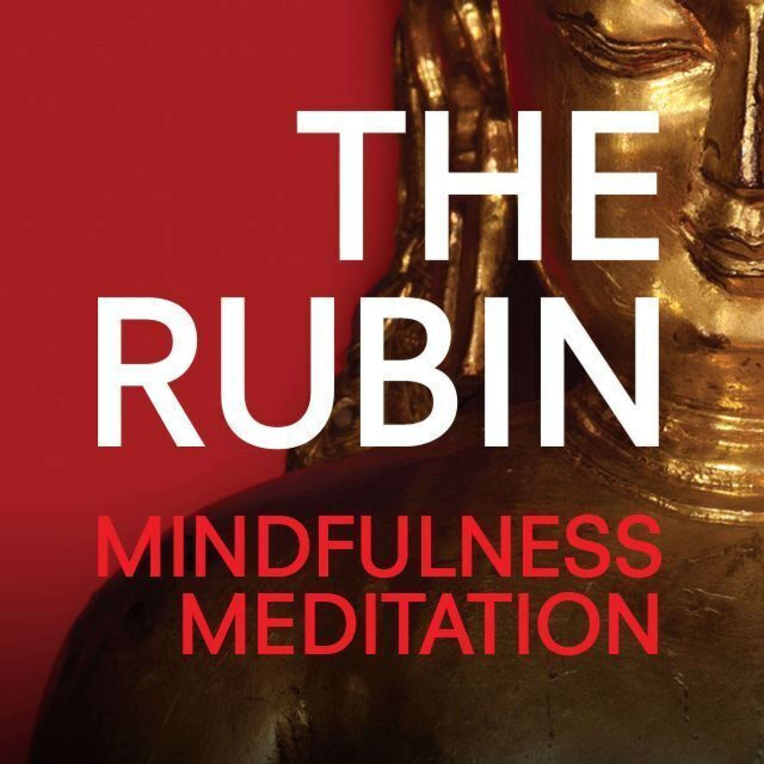 Mindfulness Meditation Podcast 