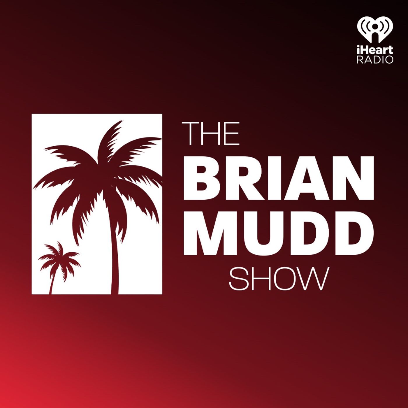 The Brian Mudd Show 