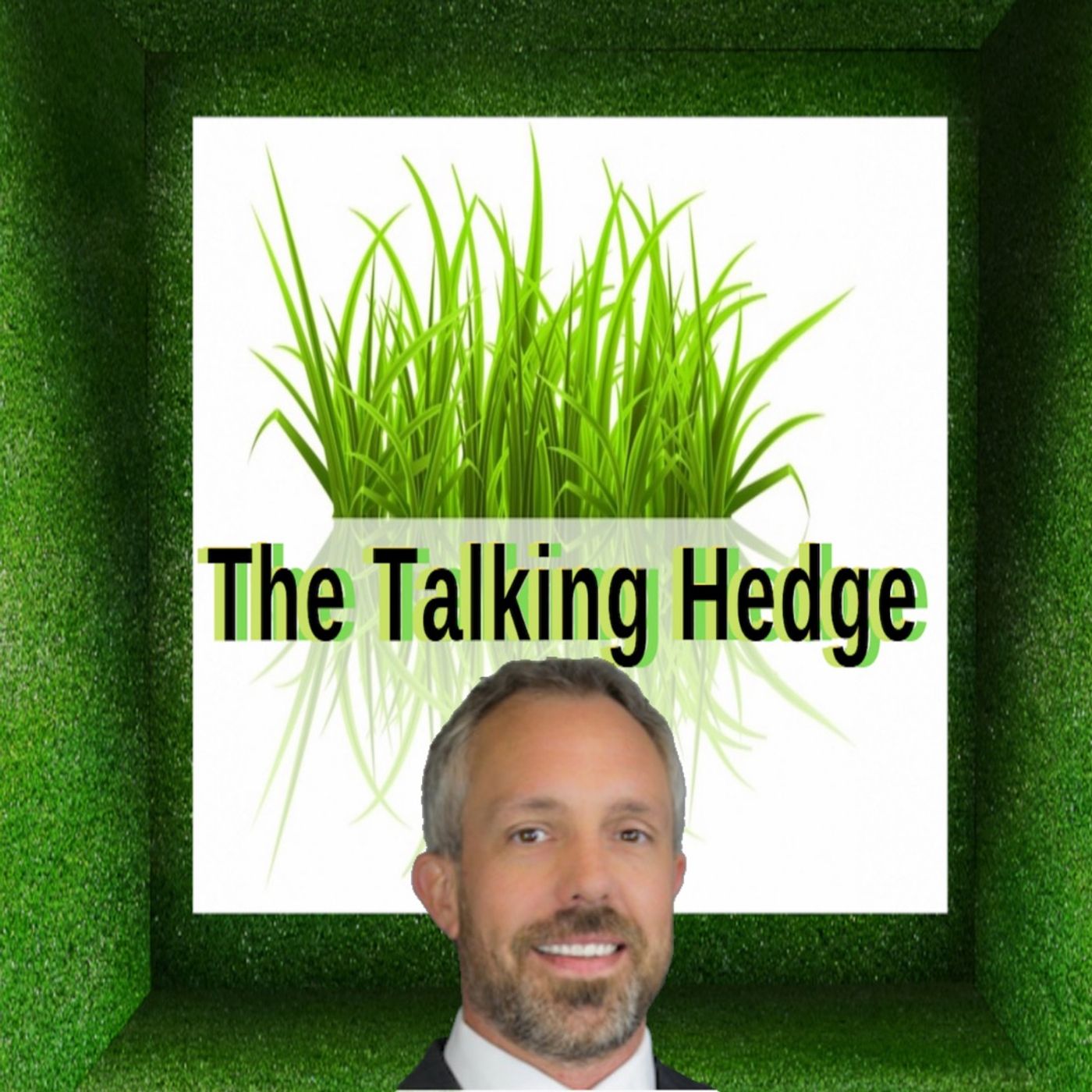 The Talking Hedge 