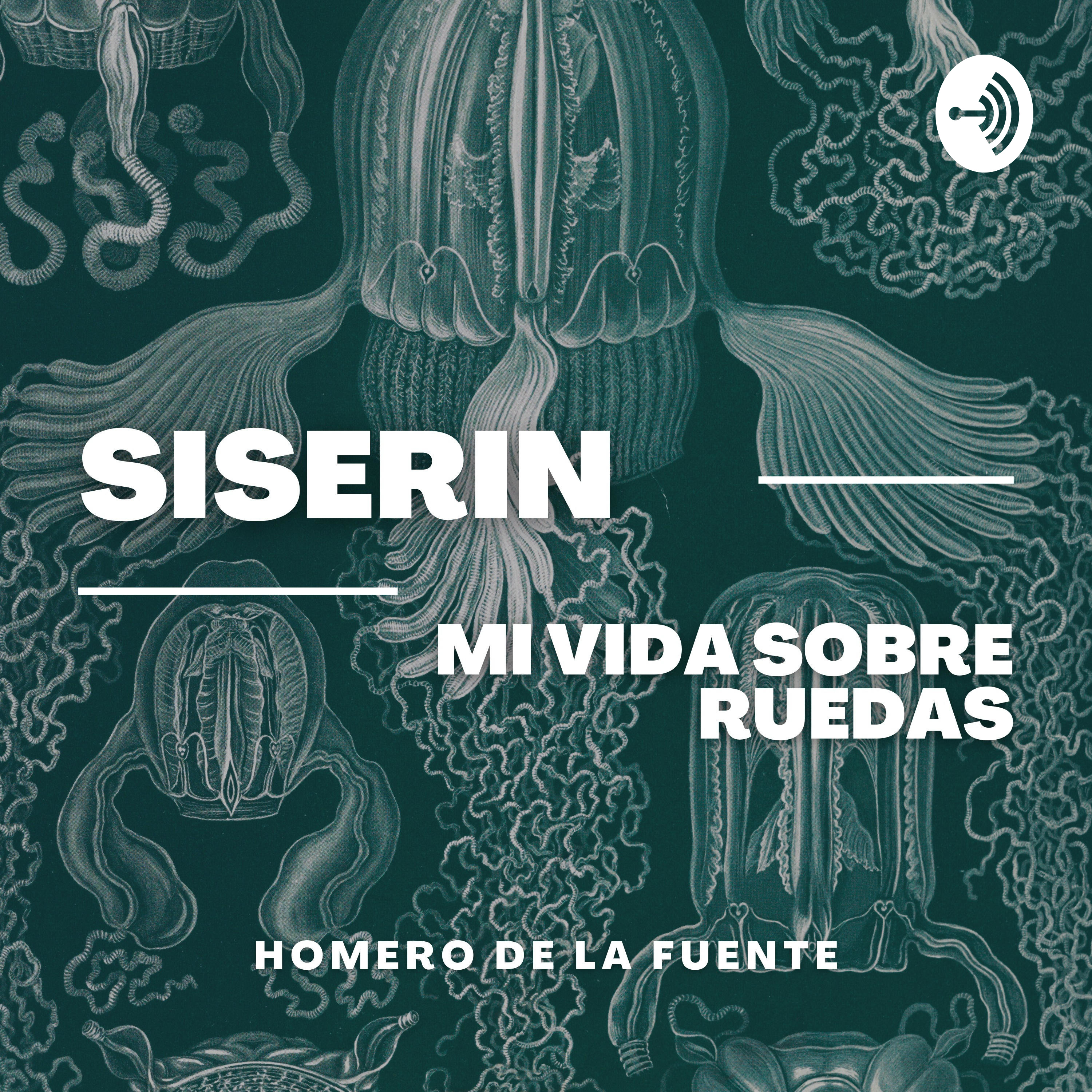 SISERIN | Mi vida sobre ruedas 