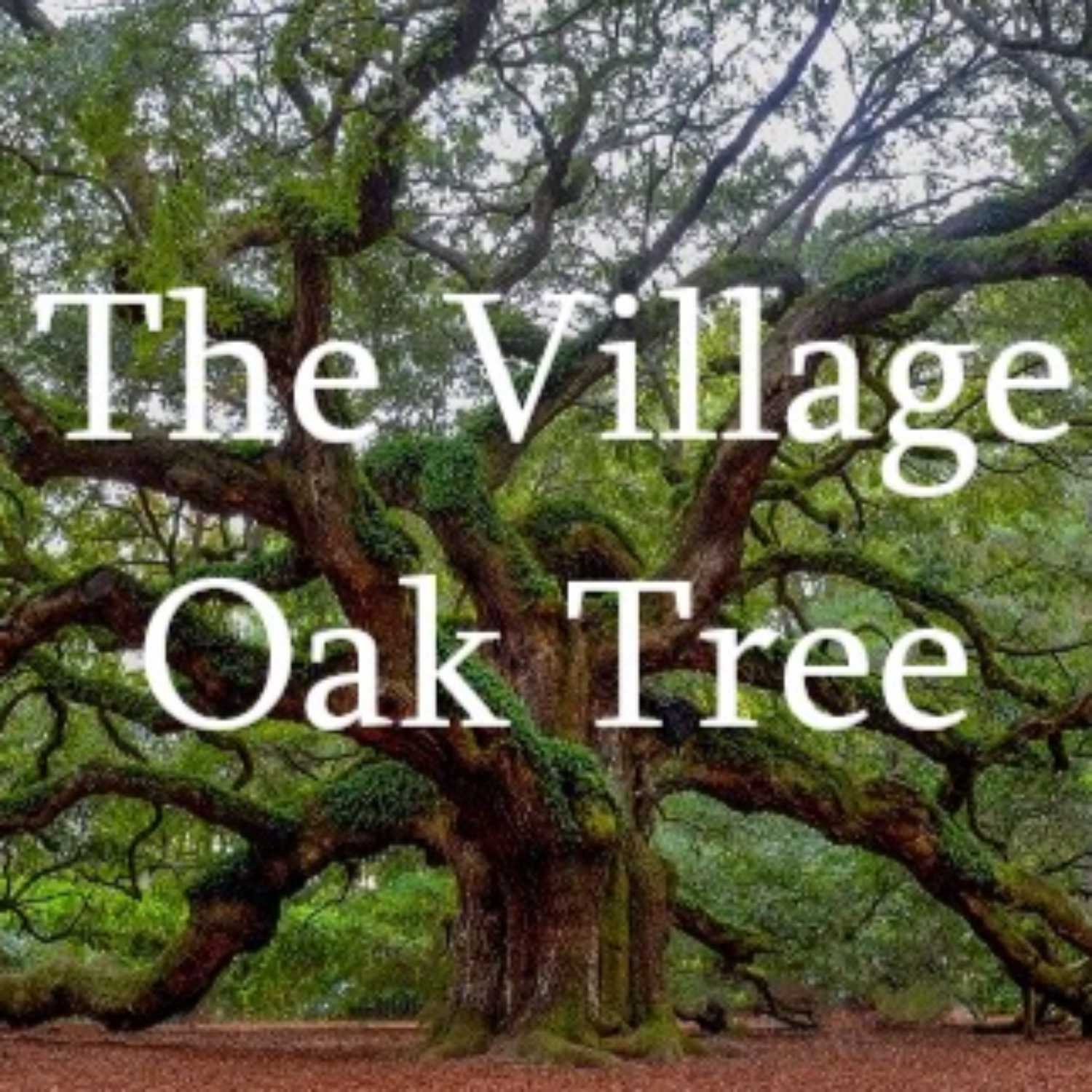 ⁣The Village Oak Tree for Sept. 6th, 2023