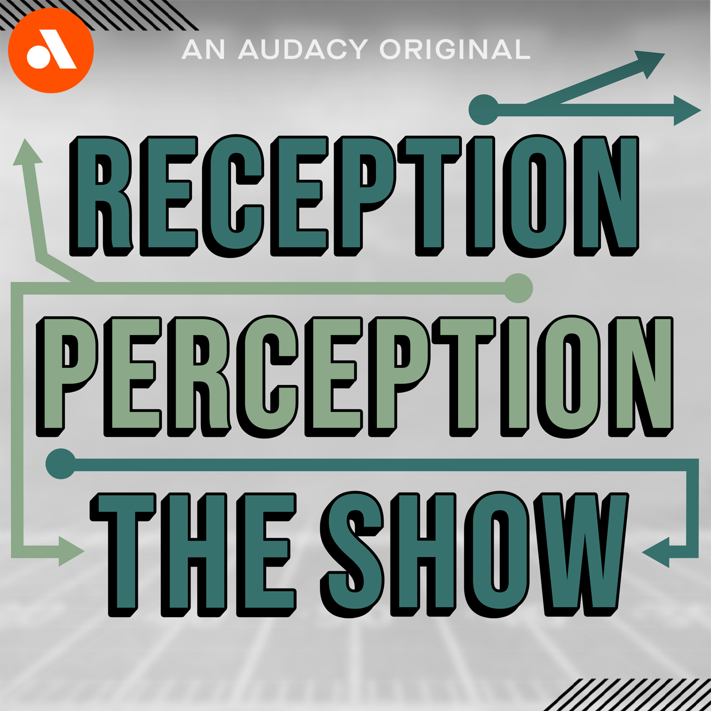 ⁣Can Anyone Stop These Dolphins? | 'Reception Perception'