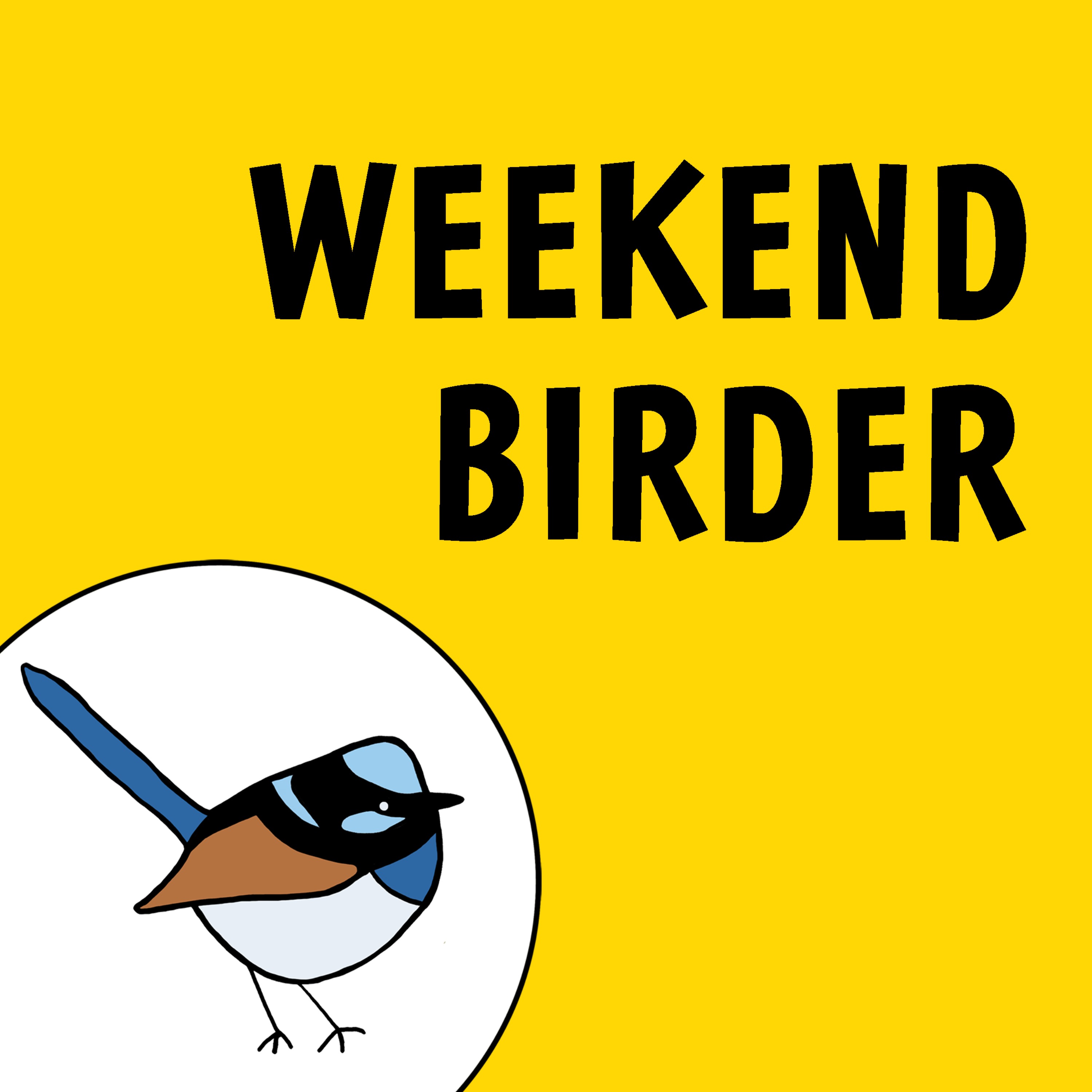 Weekend Birder 