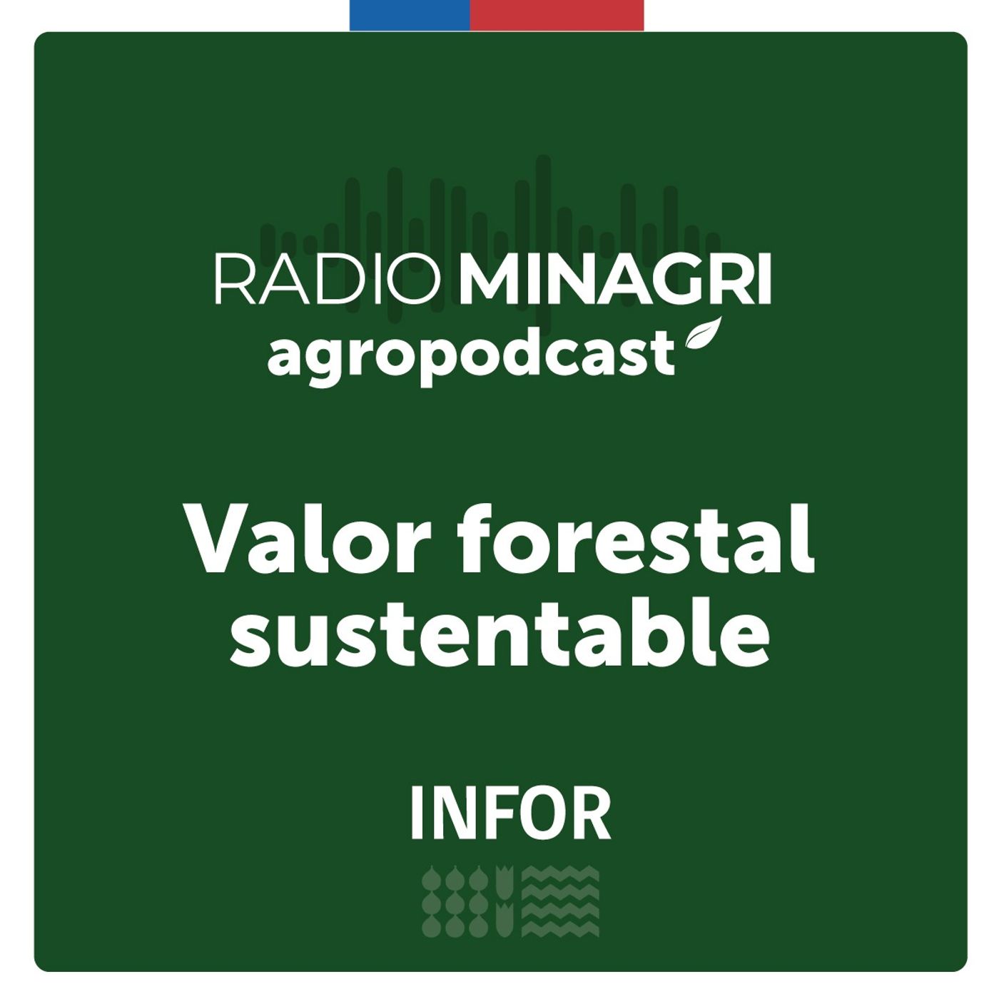 ⁣Valor forestal sustentable – Episodio 34: Tesoros del bosque: La experiencia de Mery Núñez Rojas en la recolecta de productos forestales no madereros