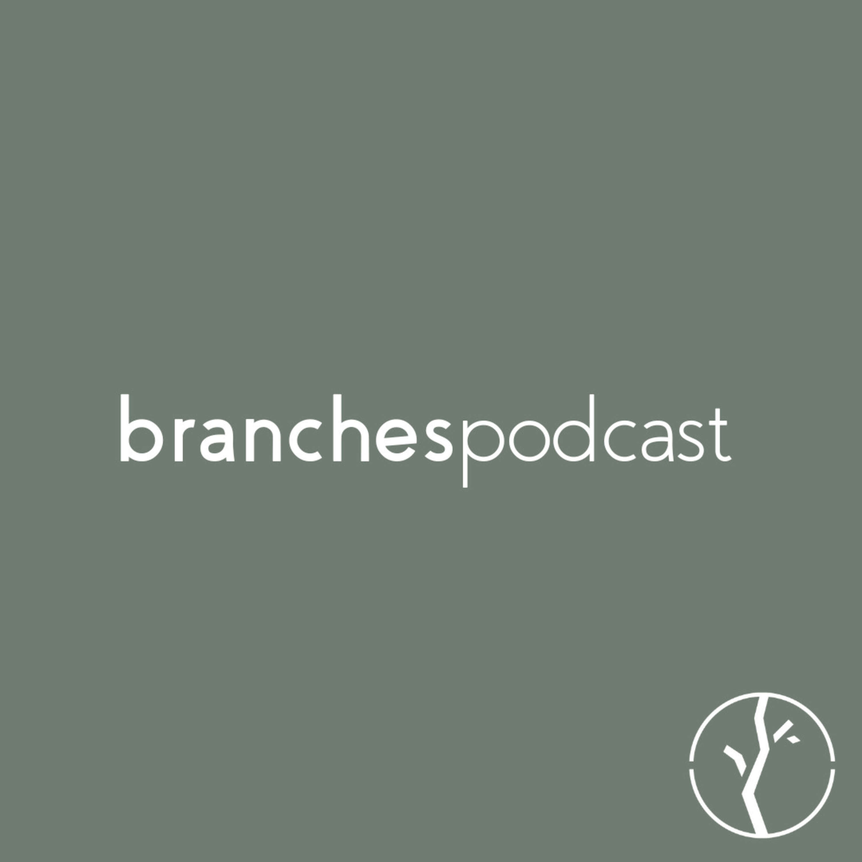 brancheshtx 