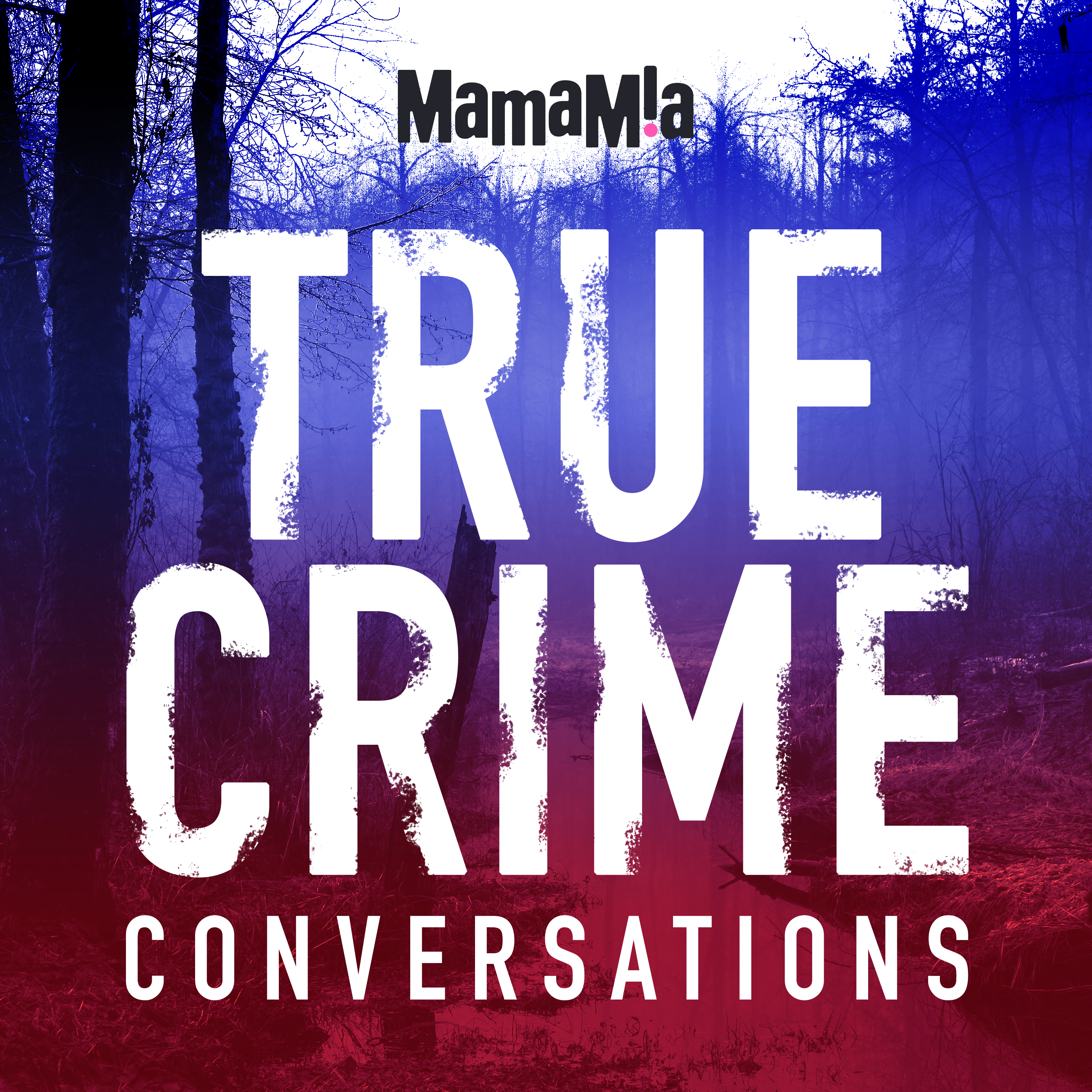 True Crime Conversations 