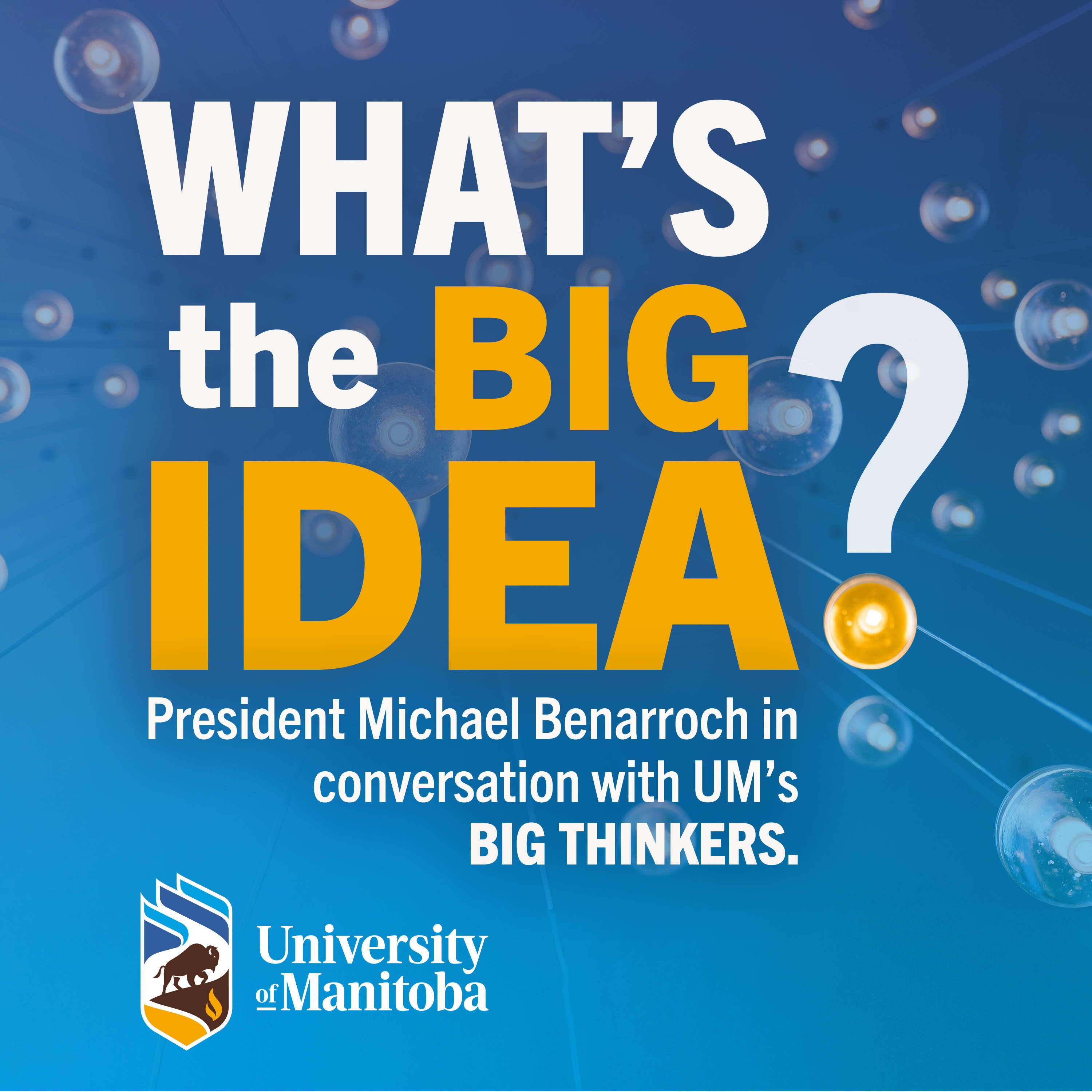 What's the Big Idea 