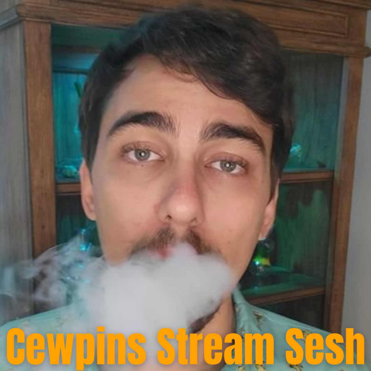 Cewpins Stream Sesh 