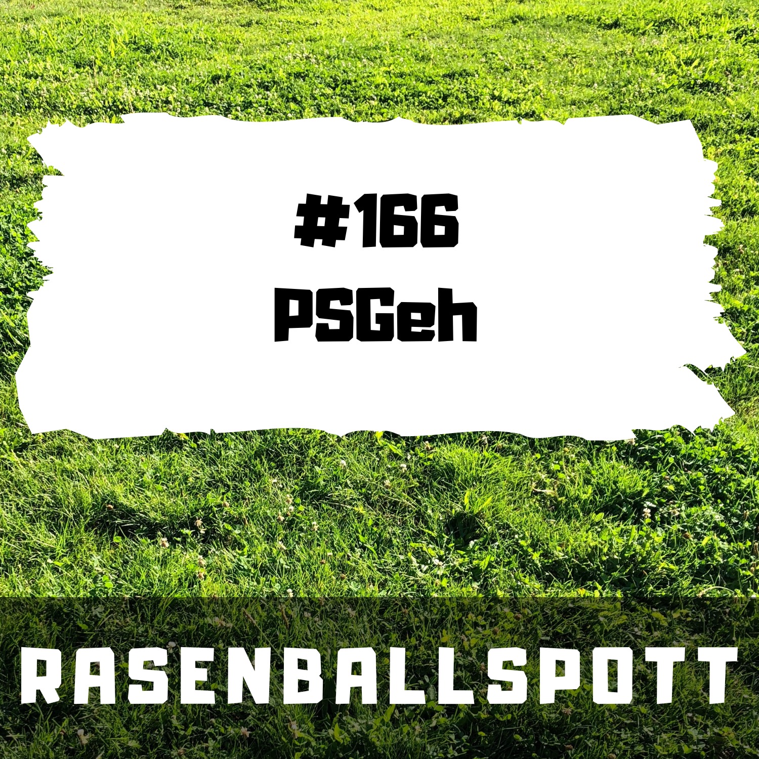 Rasenballspott #166 - PSGeh