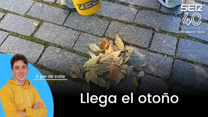 ⁣Llega el otoño - A pie de calle 25-09-2023