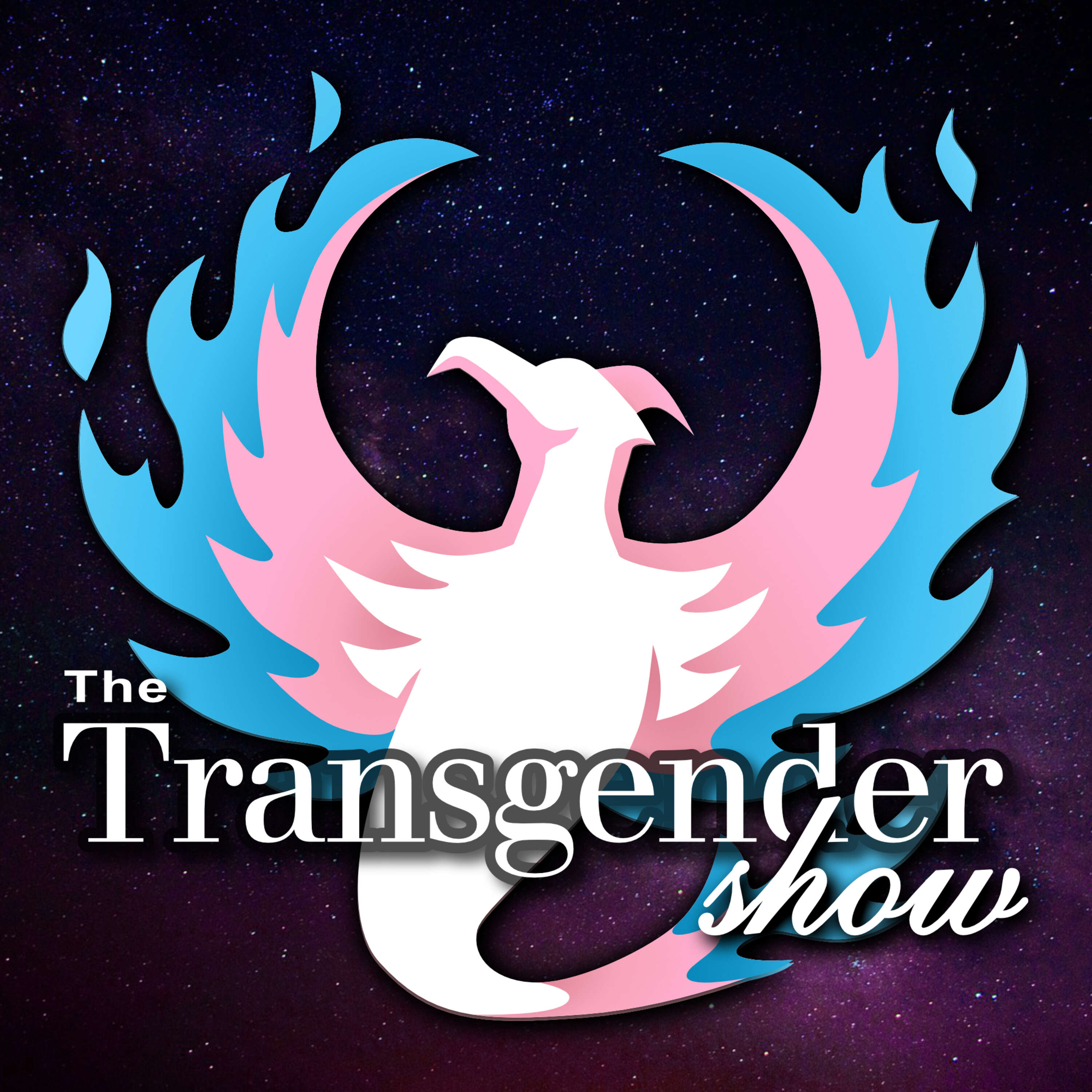 The Transgender Show 