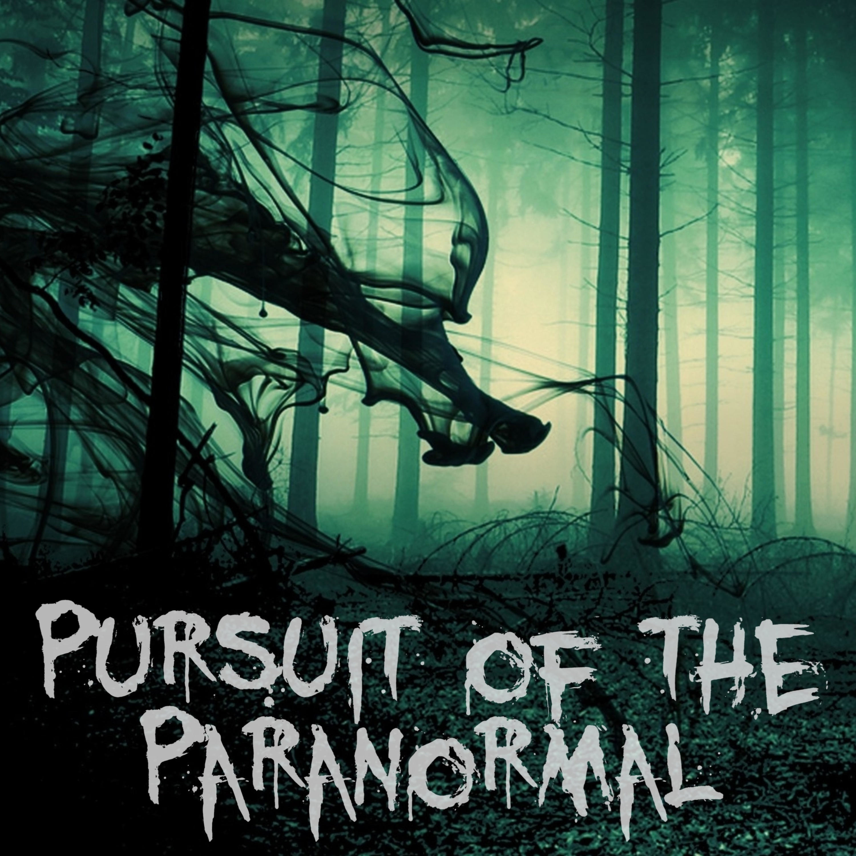 Pursuit of the Paranormal 