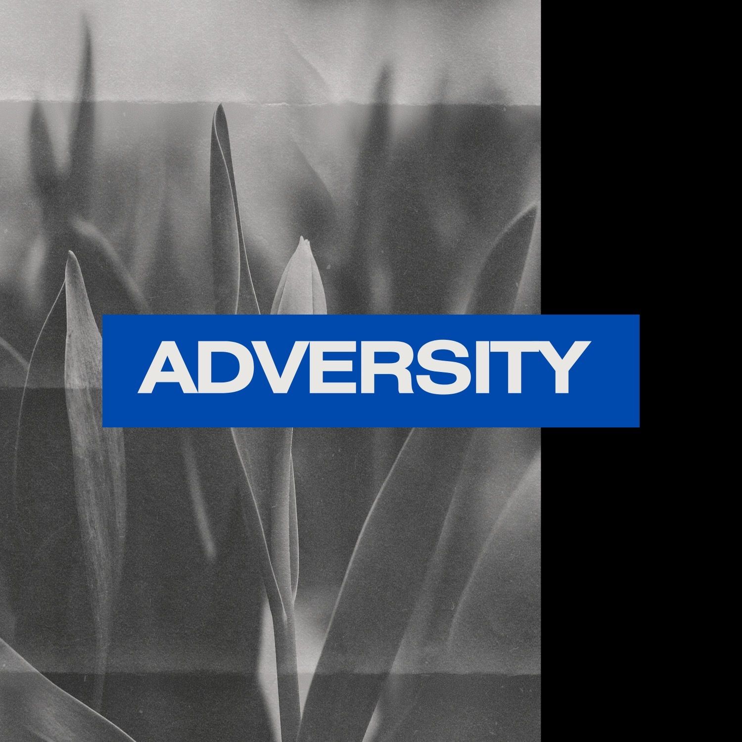 ⁣Adversity