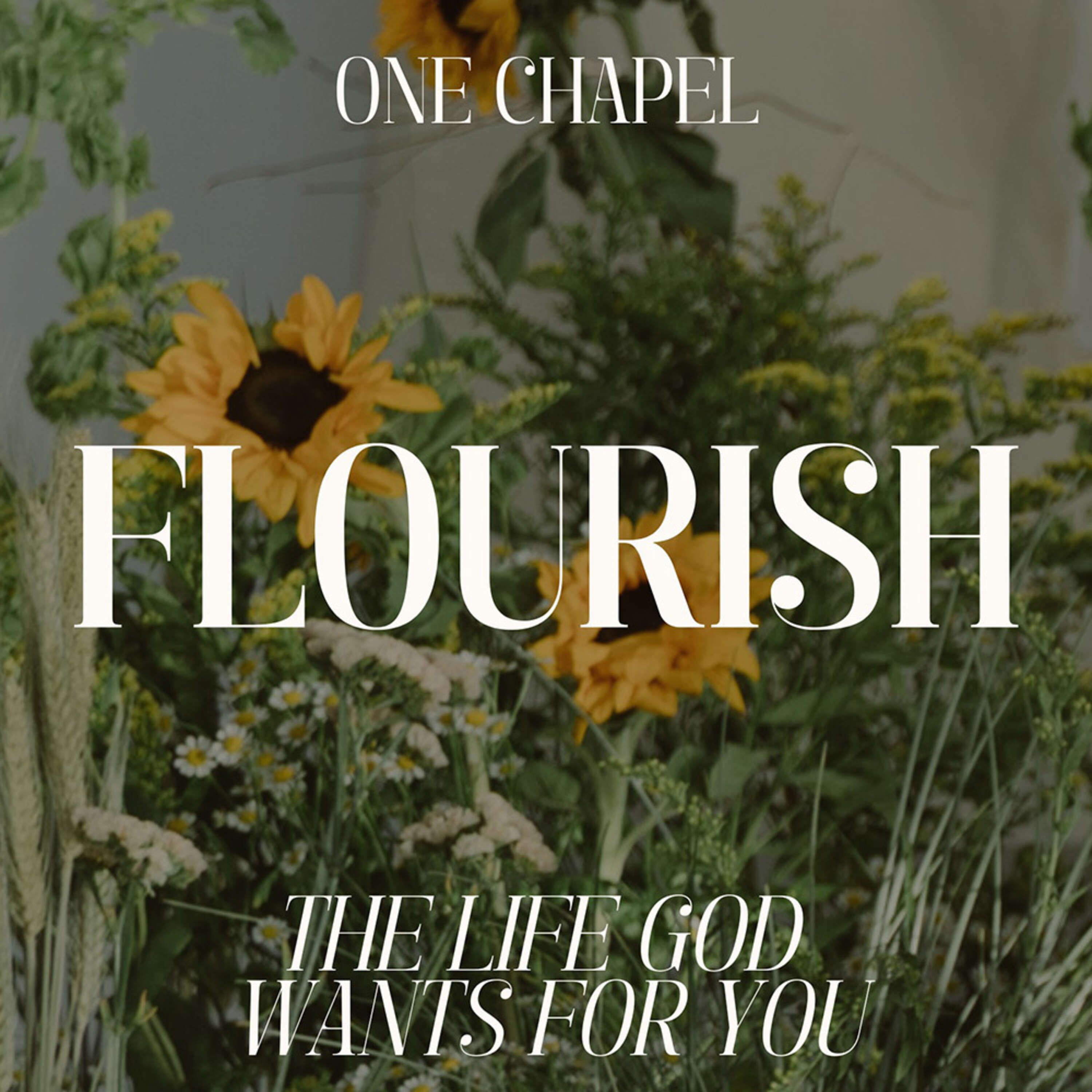 ⁣FLOURISH: Mentally and Emotionally