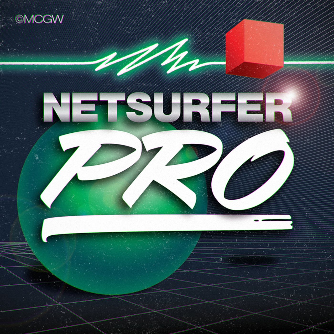 Netsurfer Pro 