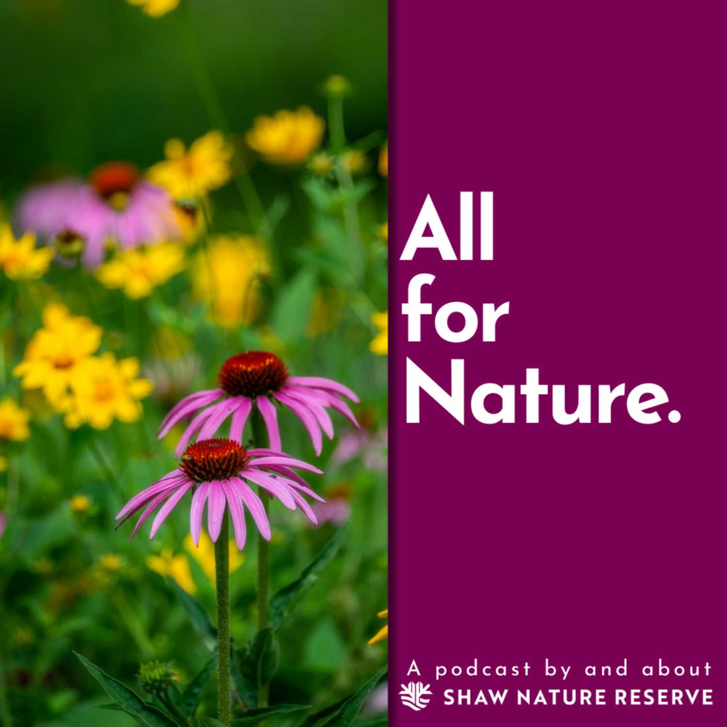 All for Nature 