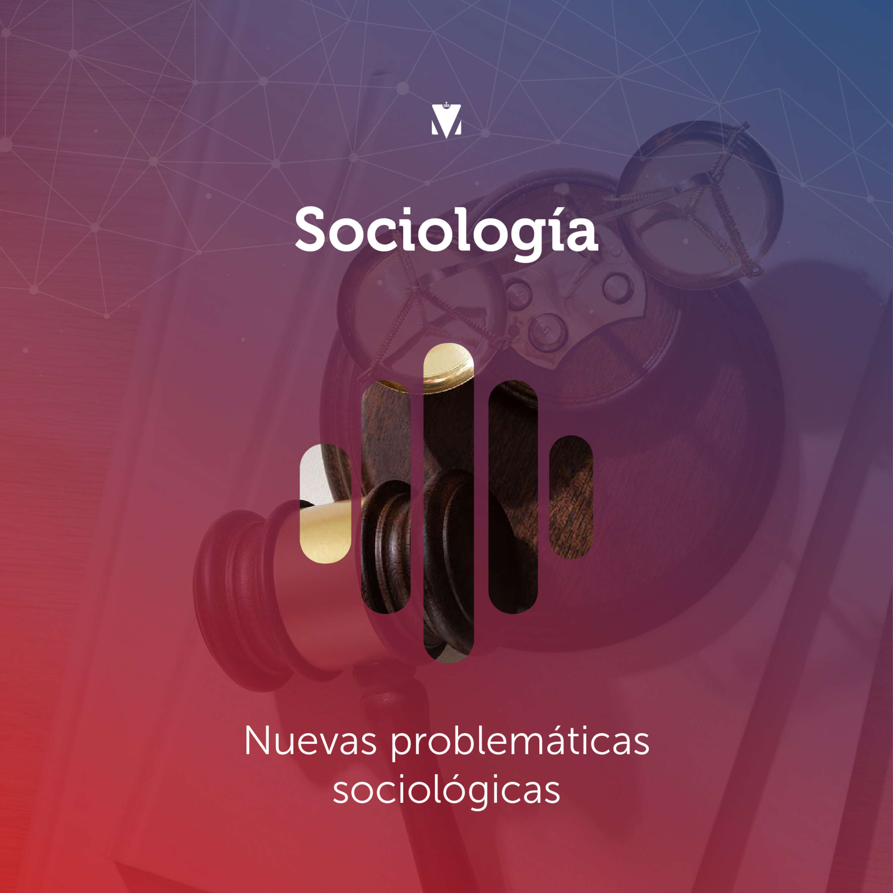 4 - SOCIOLOGÍA: Nuevas Problemáticas Sociológicas