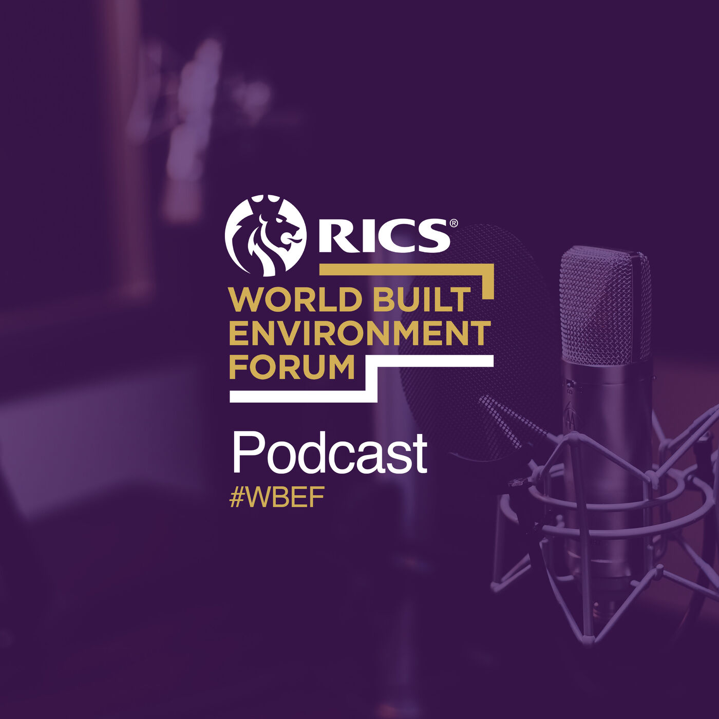 ⁣WBEF: International Fire Safety Challenges, Including Sustainability Impacts Explained with Gary Strong (Chair) and Brian Meacham (USA) from the IFSS Coalition #90